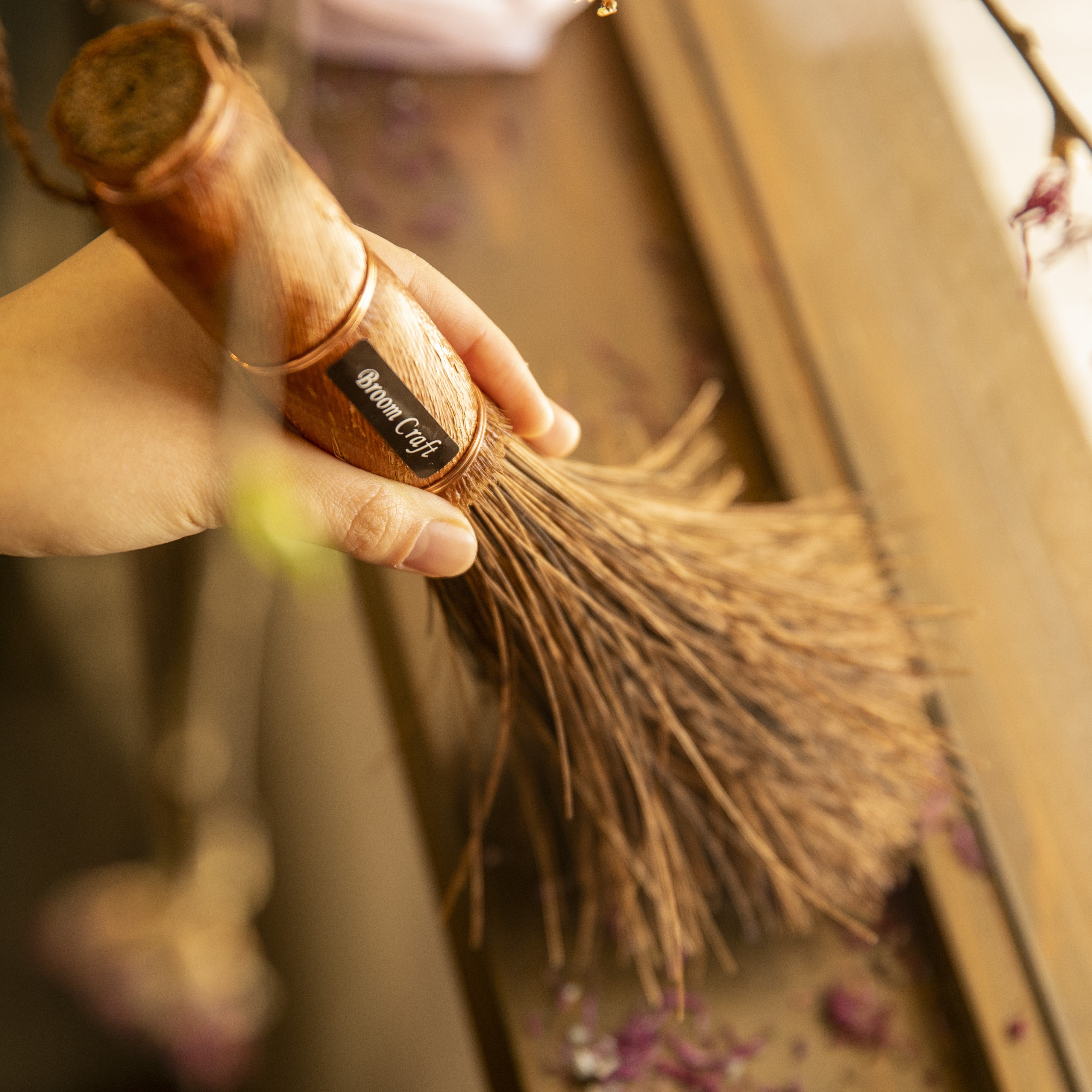 Fern Broom & DustPan