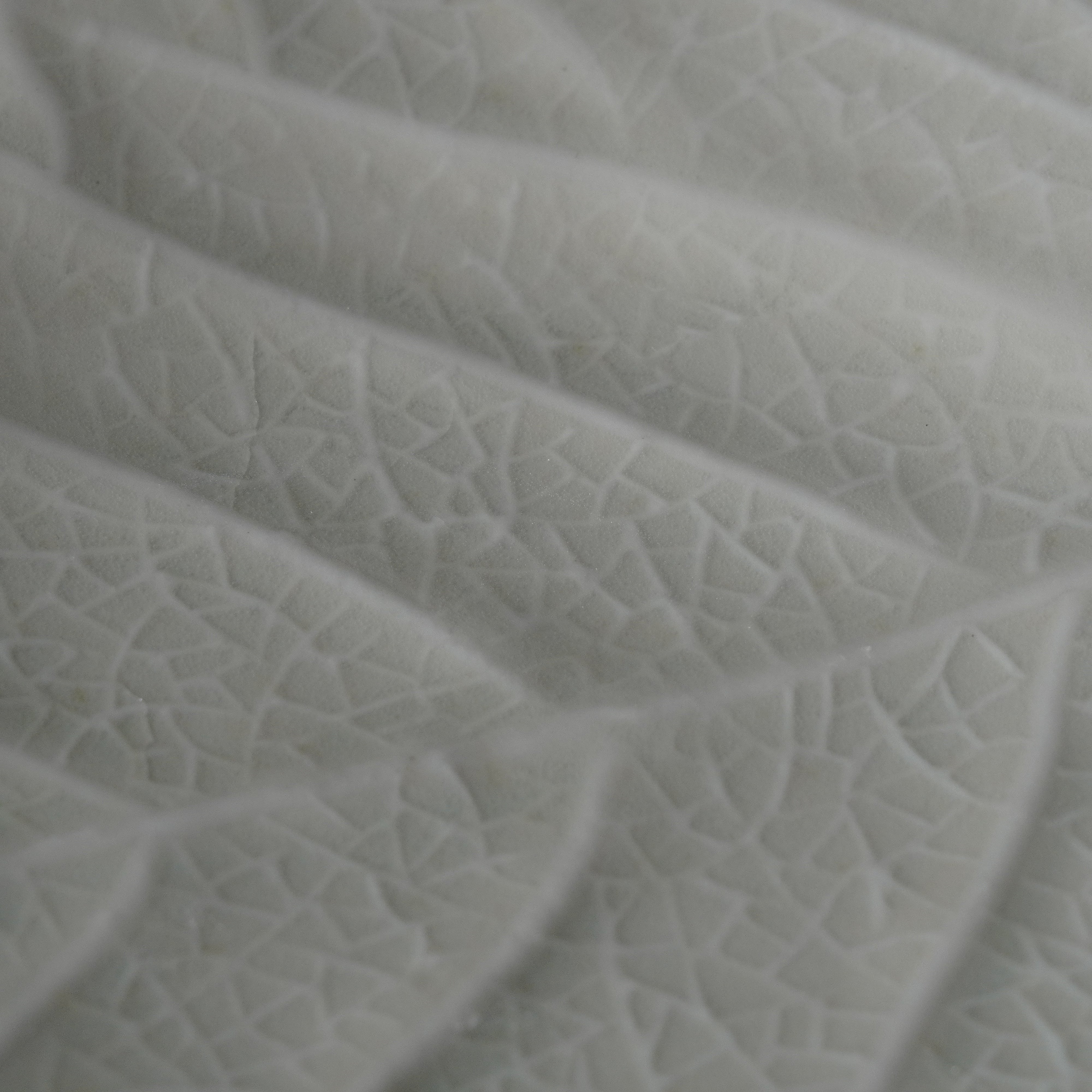 Plate / Ash Blue / Umbellata Leaf / 15cm