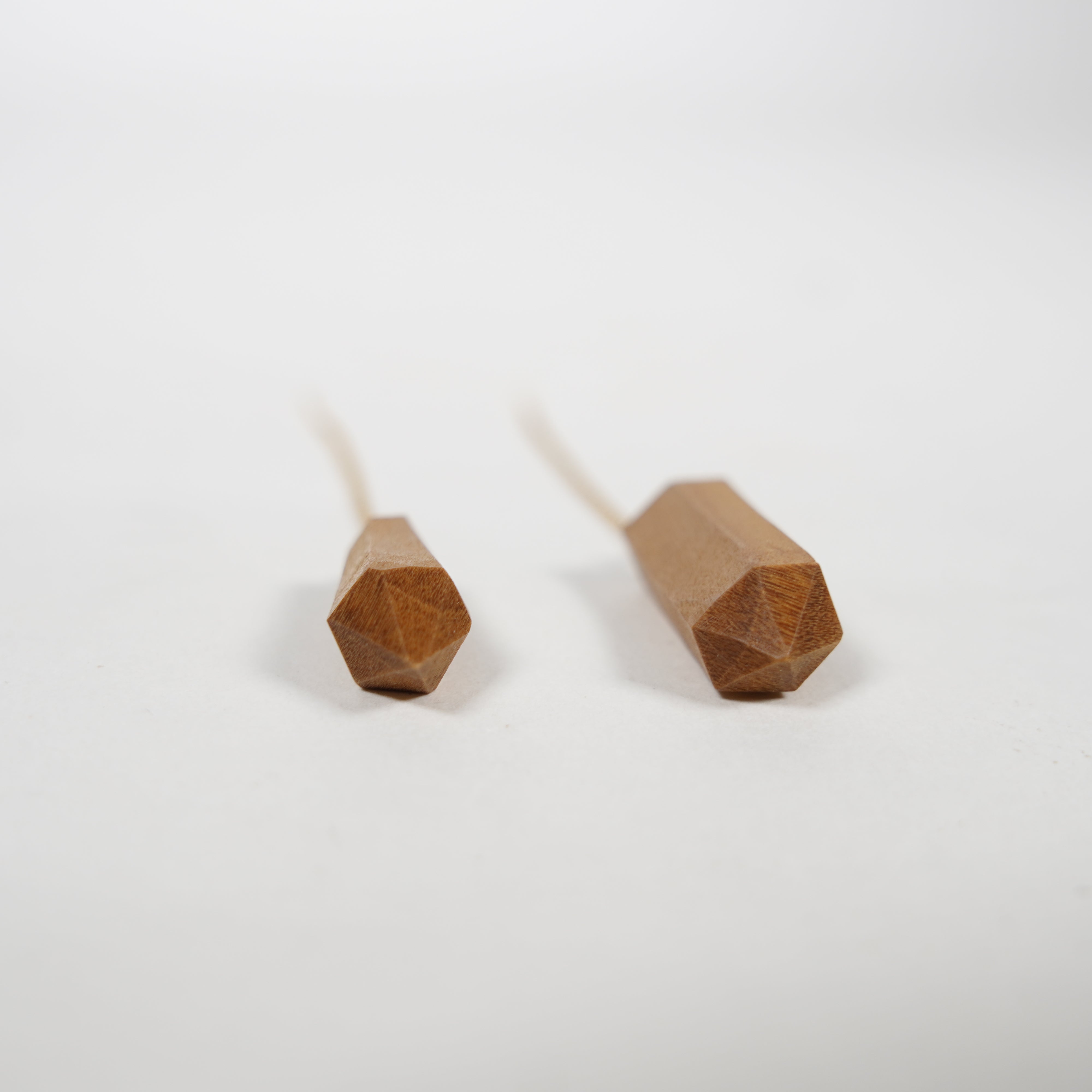 Earrings / Wood Carving / Drop of Lake Biwa