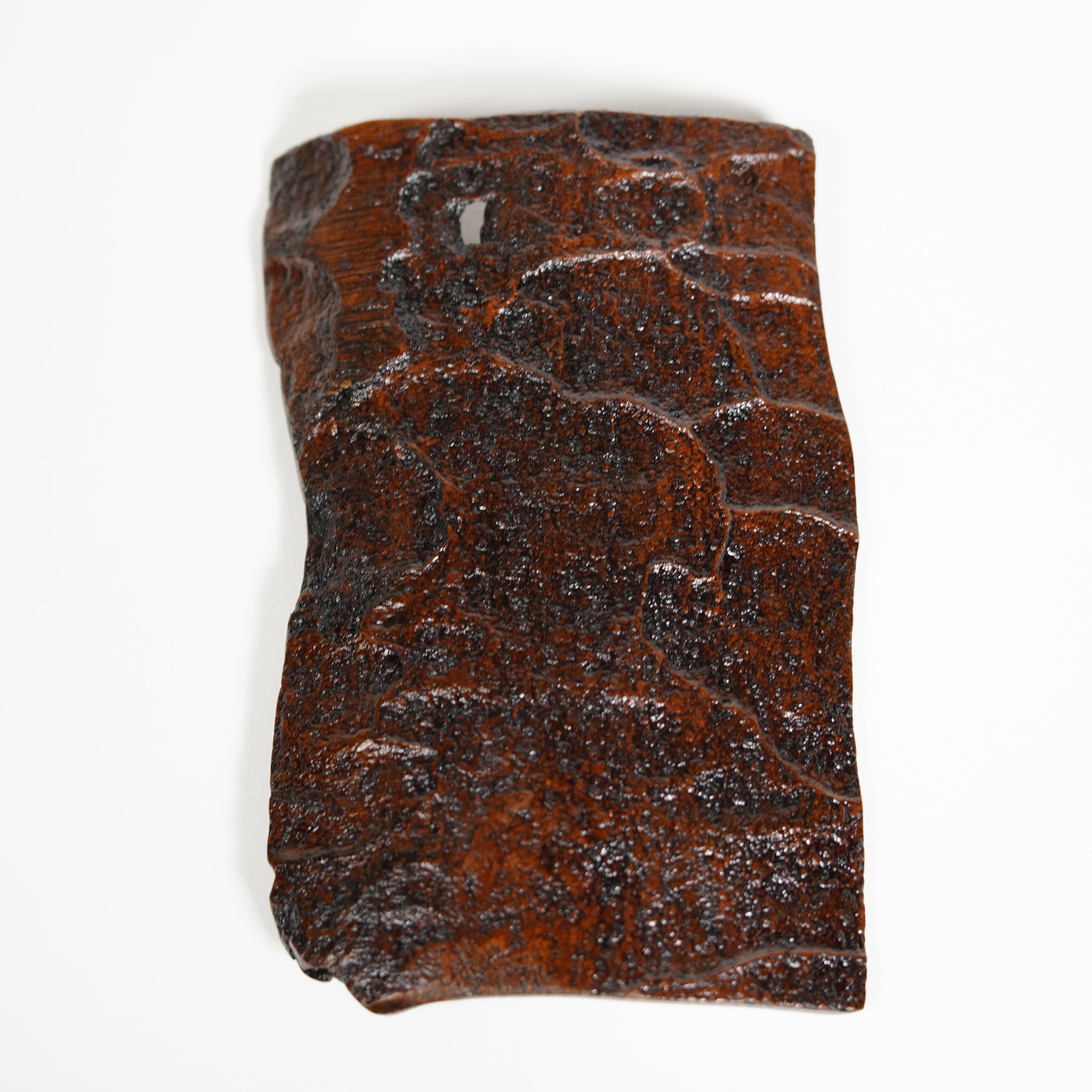 Placa de Zelkova / Beetle / Inside / Madre-of-Pearl Work①
