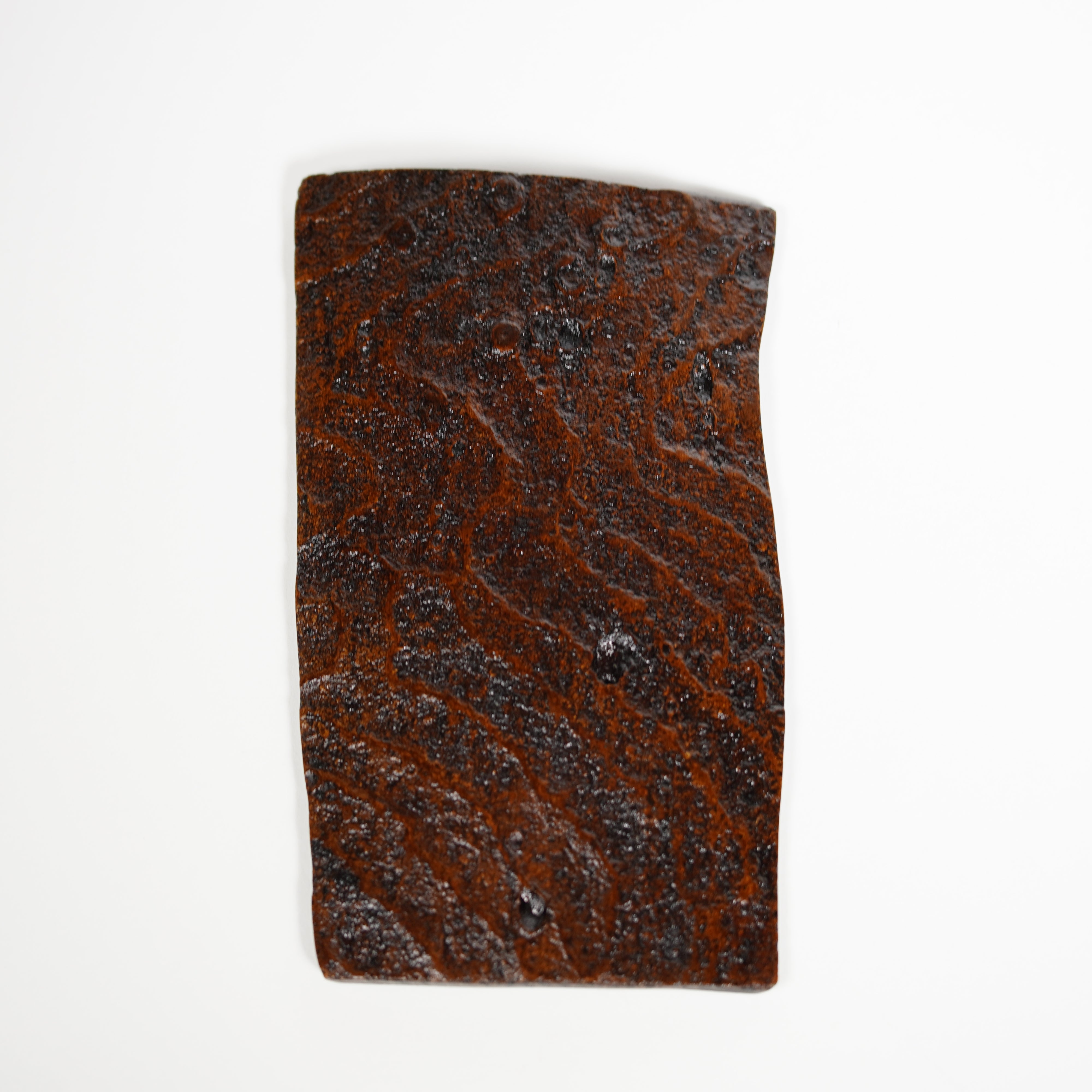 Zelkova Plate / Beetle / Inside / Mother-of Pearl Work③