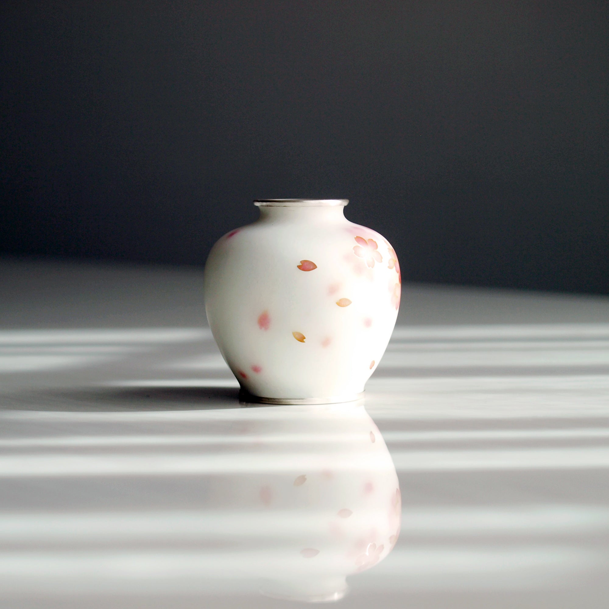 圆花瓶 /樱花柔和。