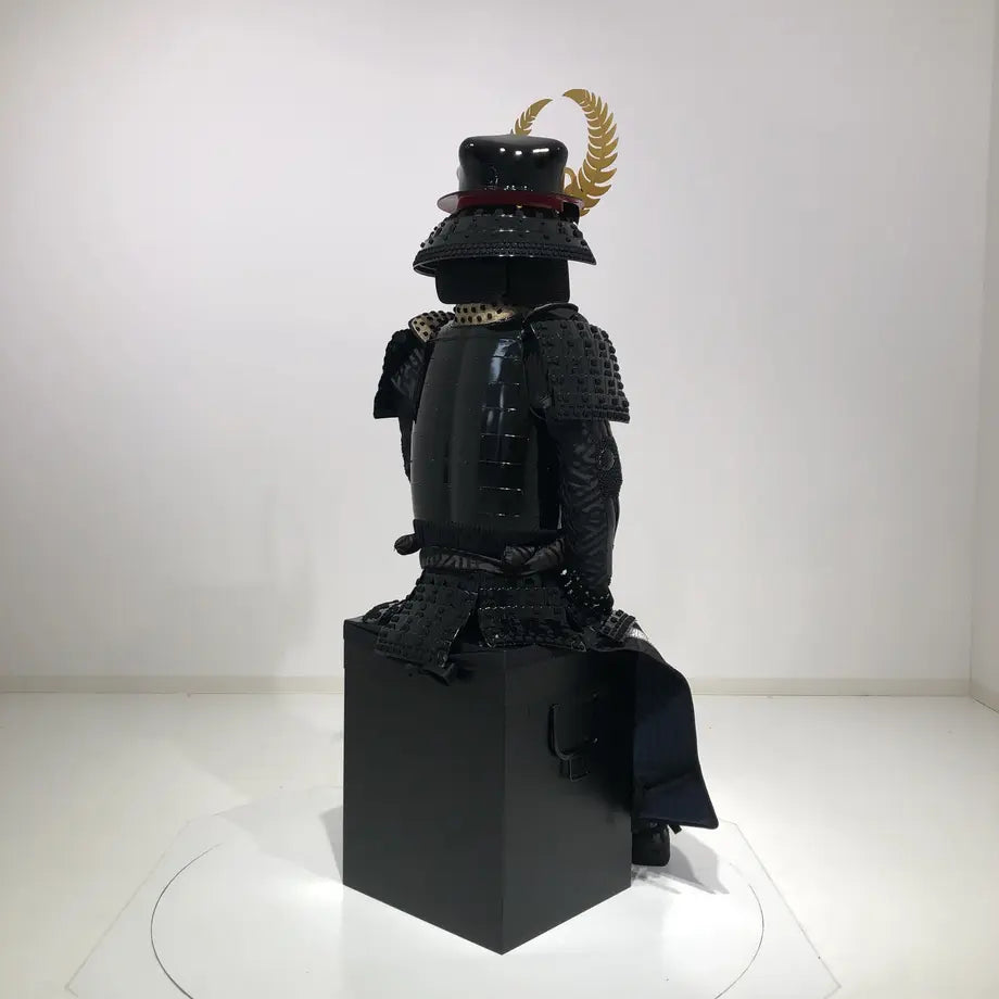 Tokugawa ieyasu / ciruela