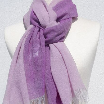 Kasane -Red Wisteria (Pink X Purple)