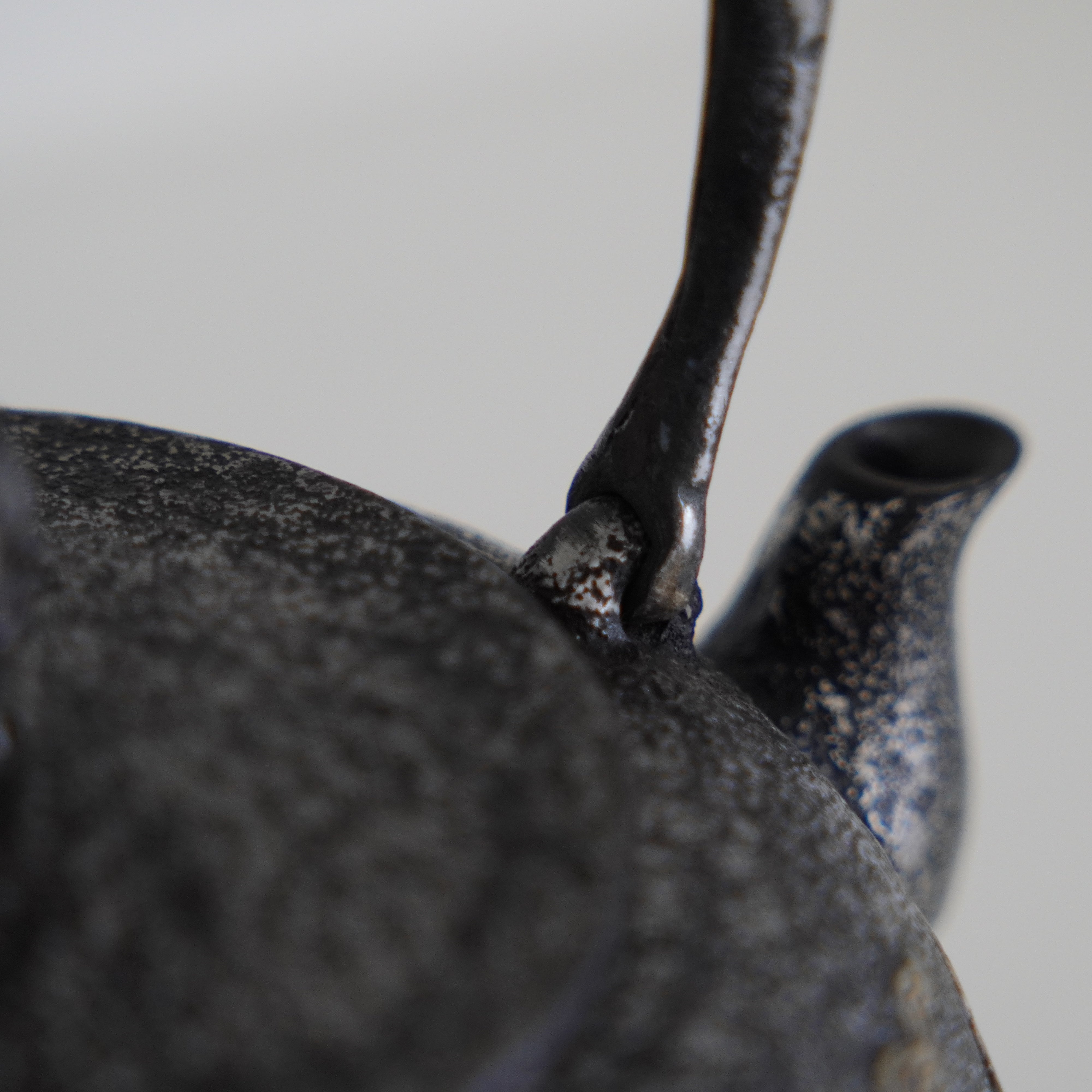 Iron Sand Kettle / Mt.Fuji & Horse / Flat Round Shape