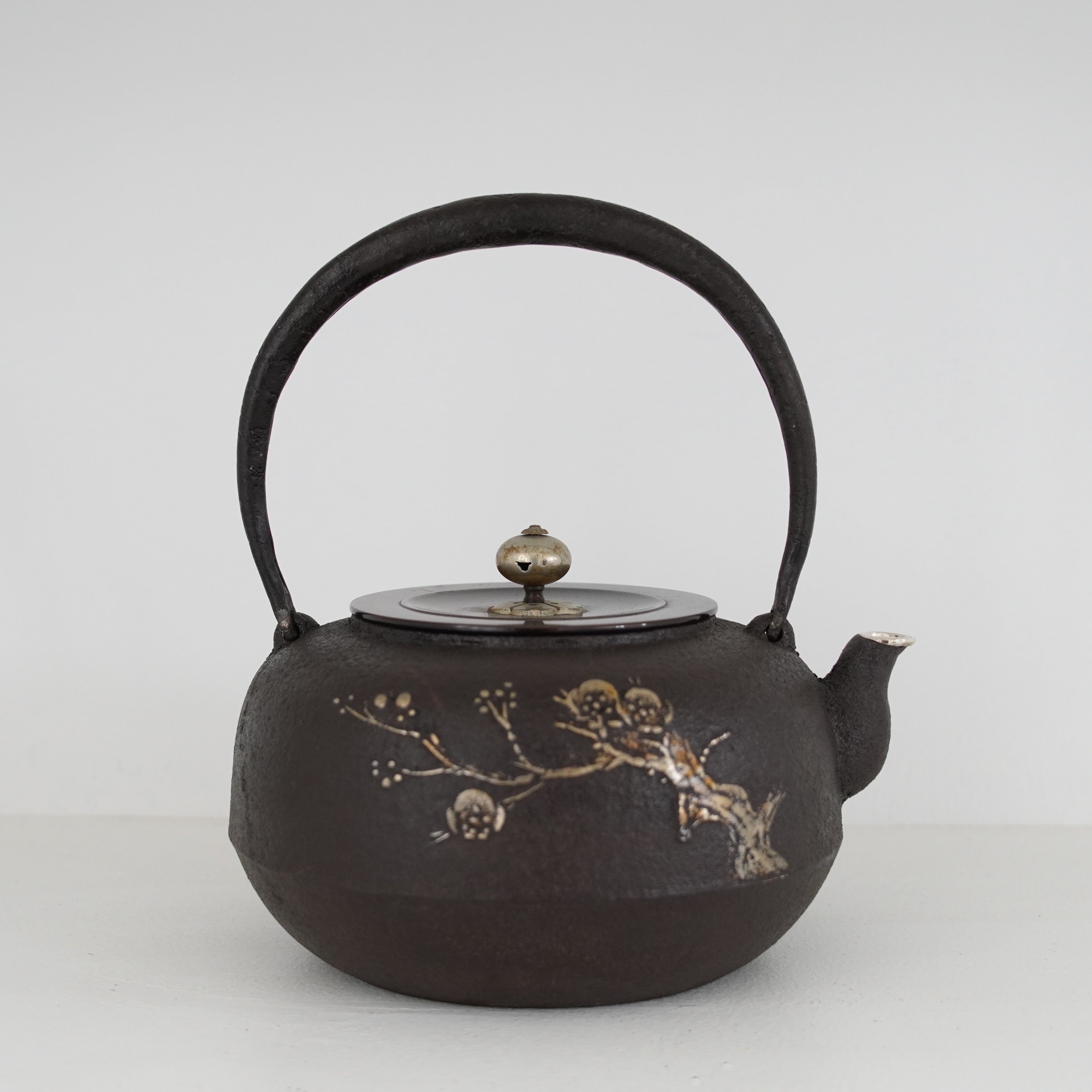 Iron Kettle / Plum / Flat Round Shape / Large