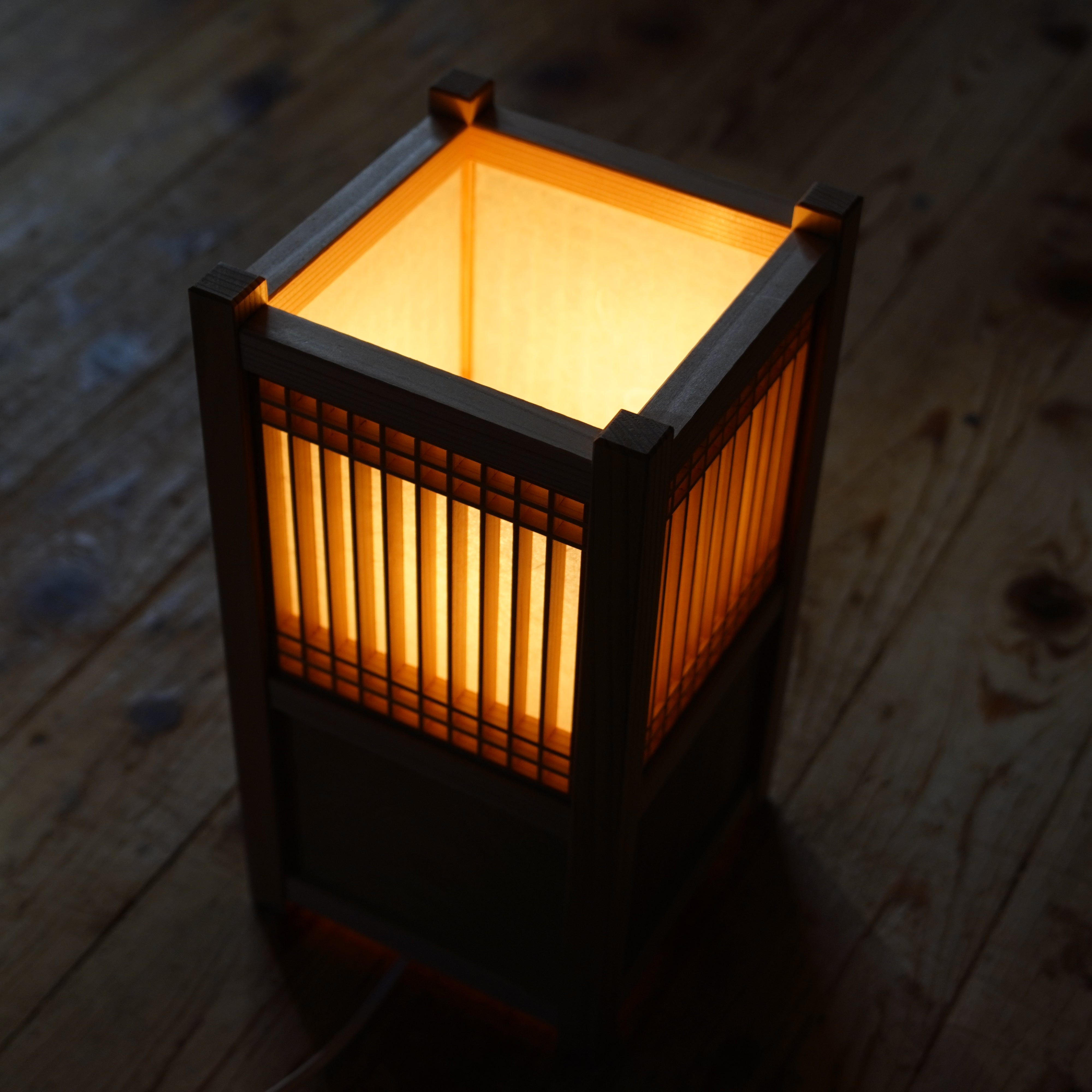 Luz 002