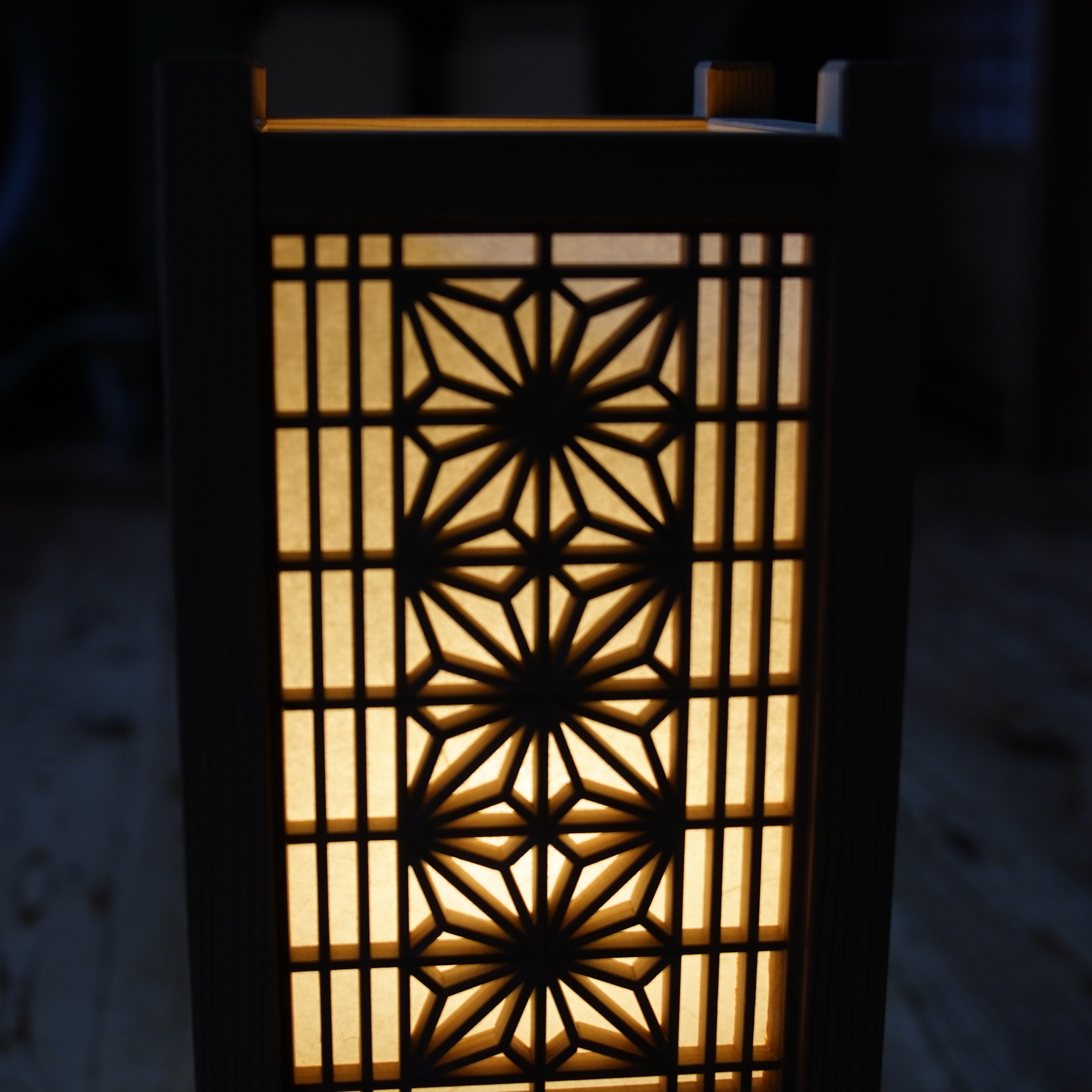 Luz 005