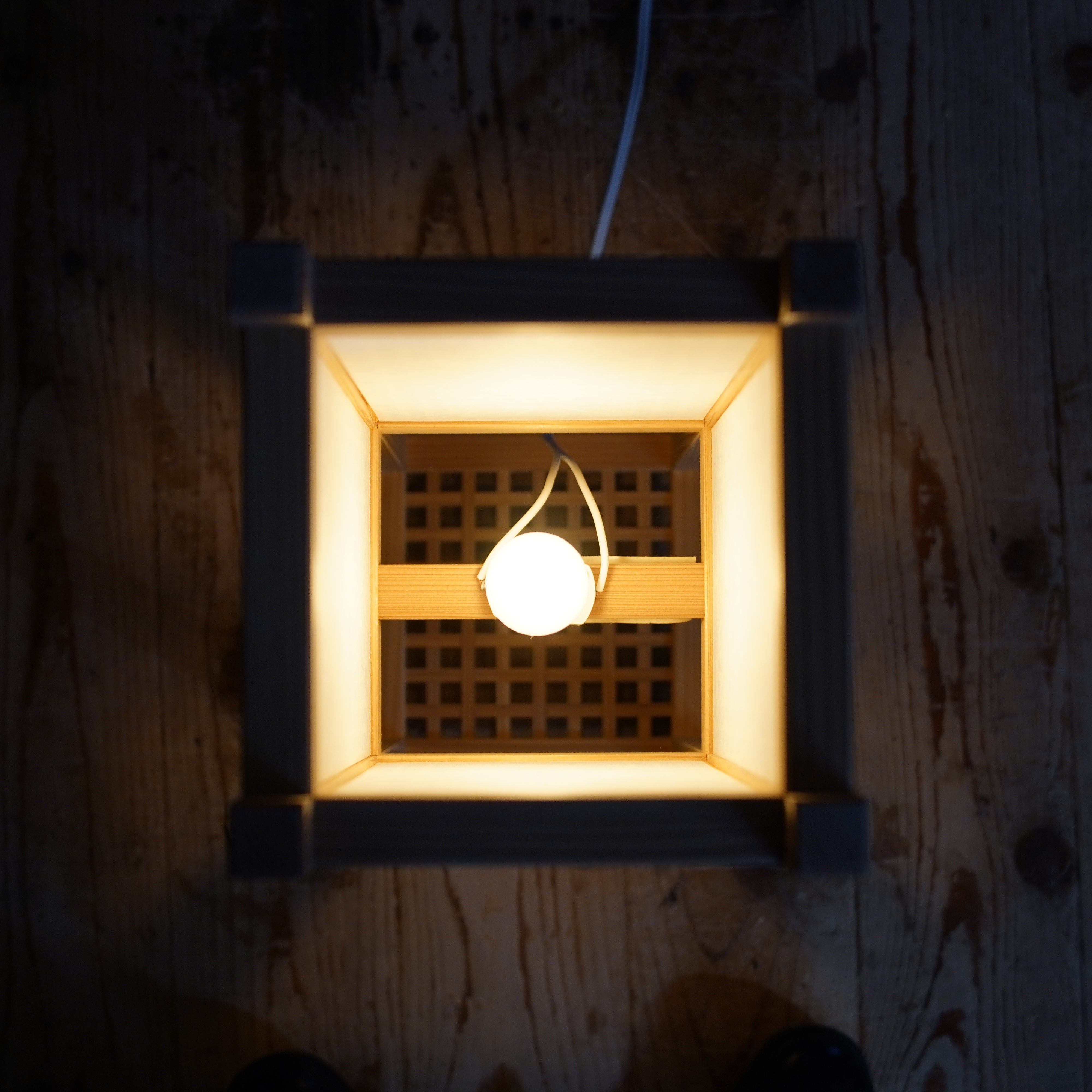 Luz 005