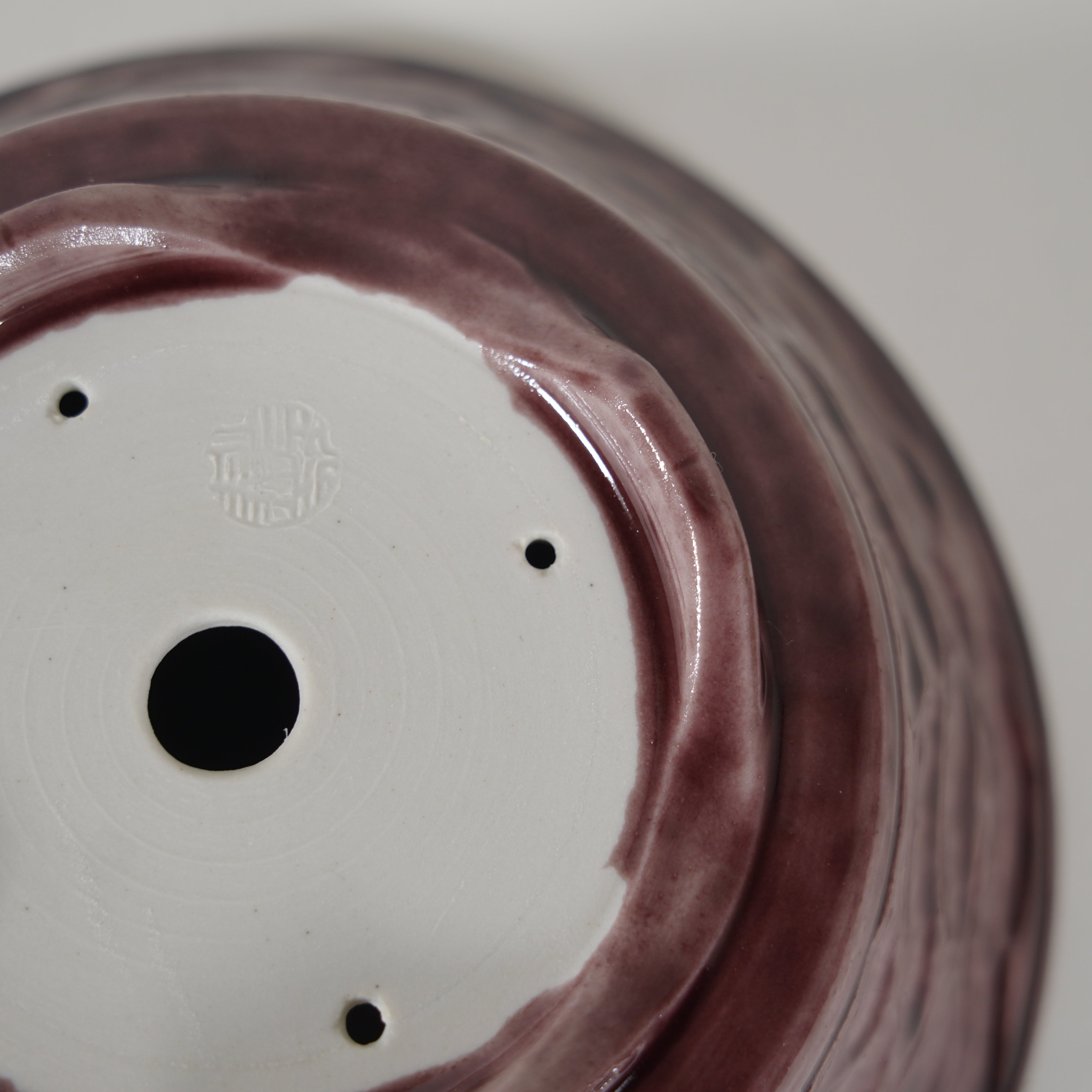 Bonsaï Pot / Marquetrante violette