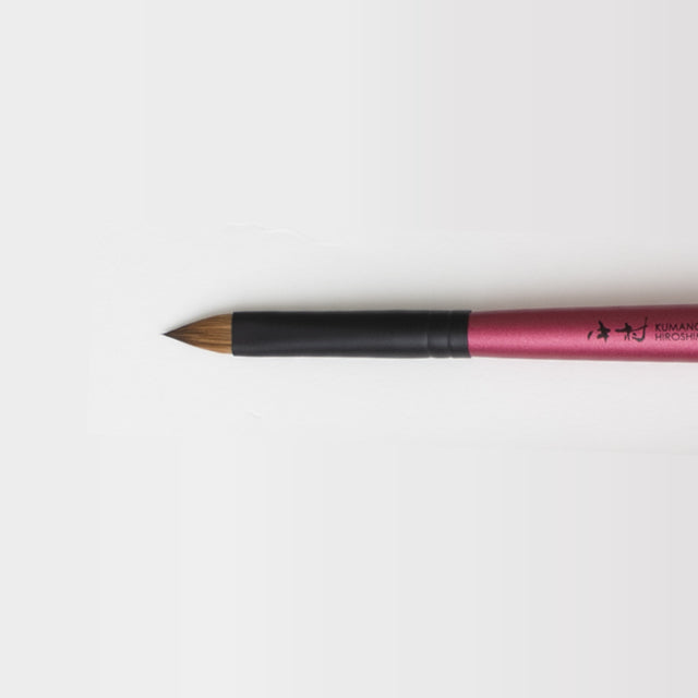 Brusque à lèvres de maquillage / série plate ronde / NAO