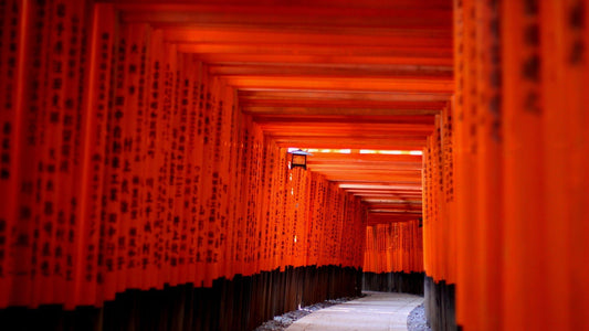 【Fushimi Inari Shrine】Unveiling the Mystique of Kyoto's Sacred Gates