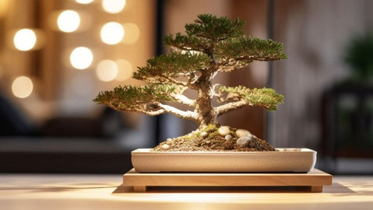 Japanese Bonsai Pot：Exploring the Charm and Importance of Kiyomizu Ware