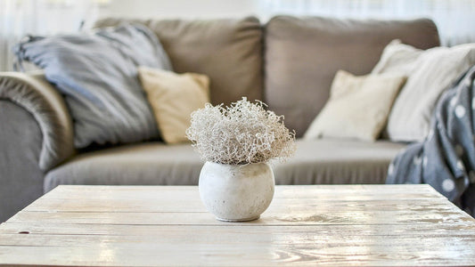 Flower Vase for Living Room -Elevate Your Living Room with Exquisite Flower Vases