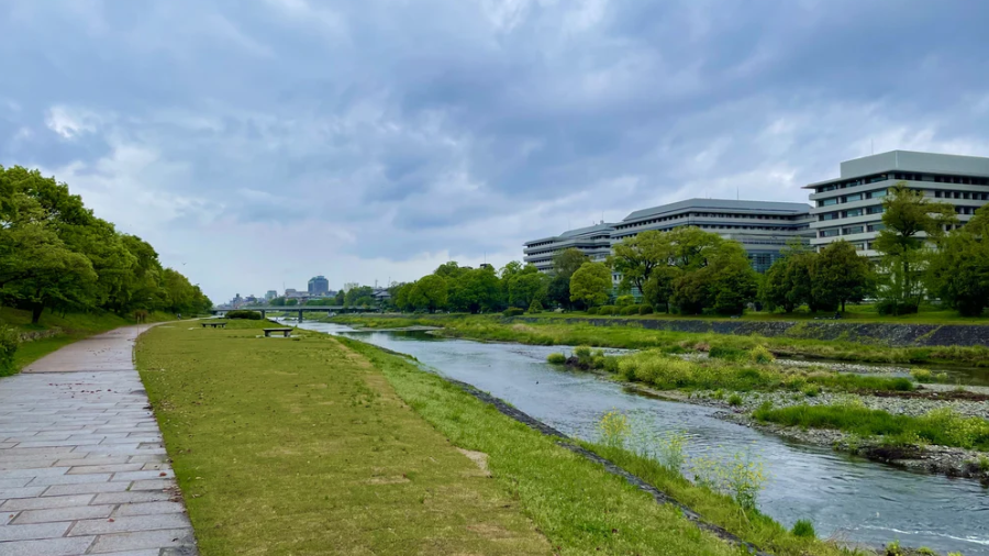 【Kamo River】 Discover the Timeless Beauty
