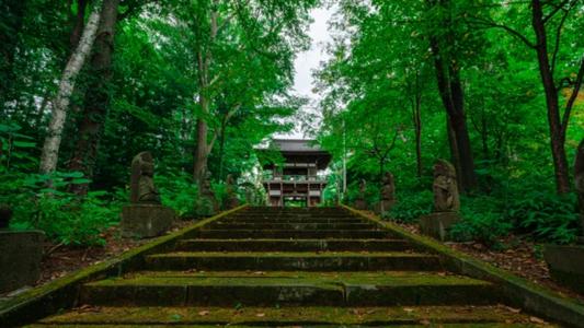 【Kodaiji Temple】 A Tranquil Haven of History and Beauty in Kyoto