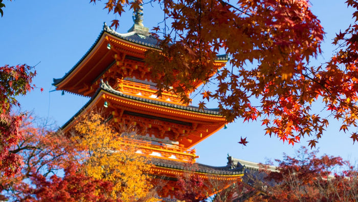 Autumn Kiyomizu temple
