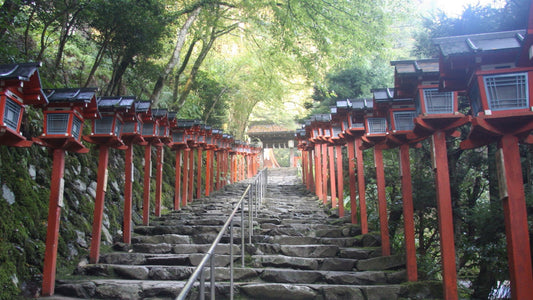 【Kifune Shrine】 A Journey Through Kyoto's Seasonal Paradise
