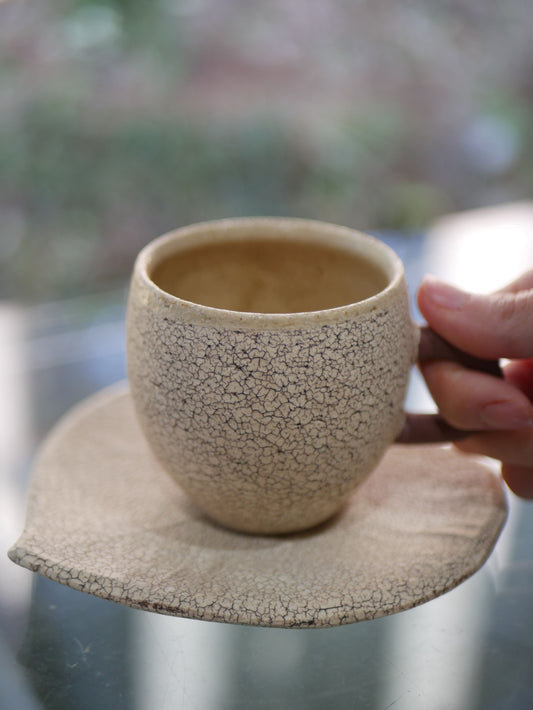 Bruco Regular (Brown)