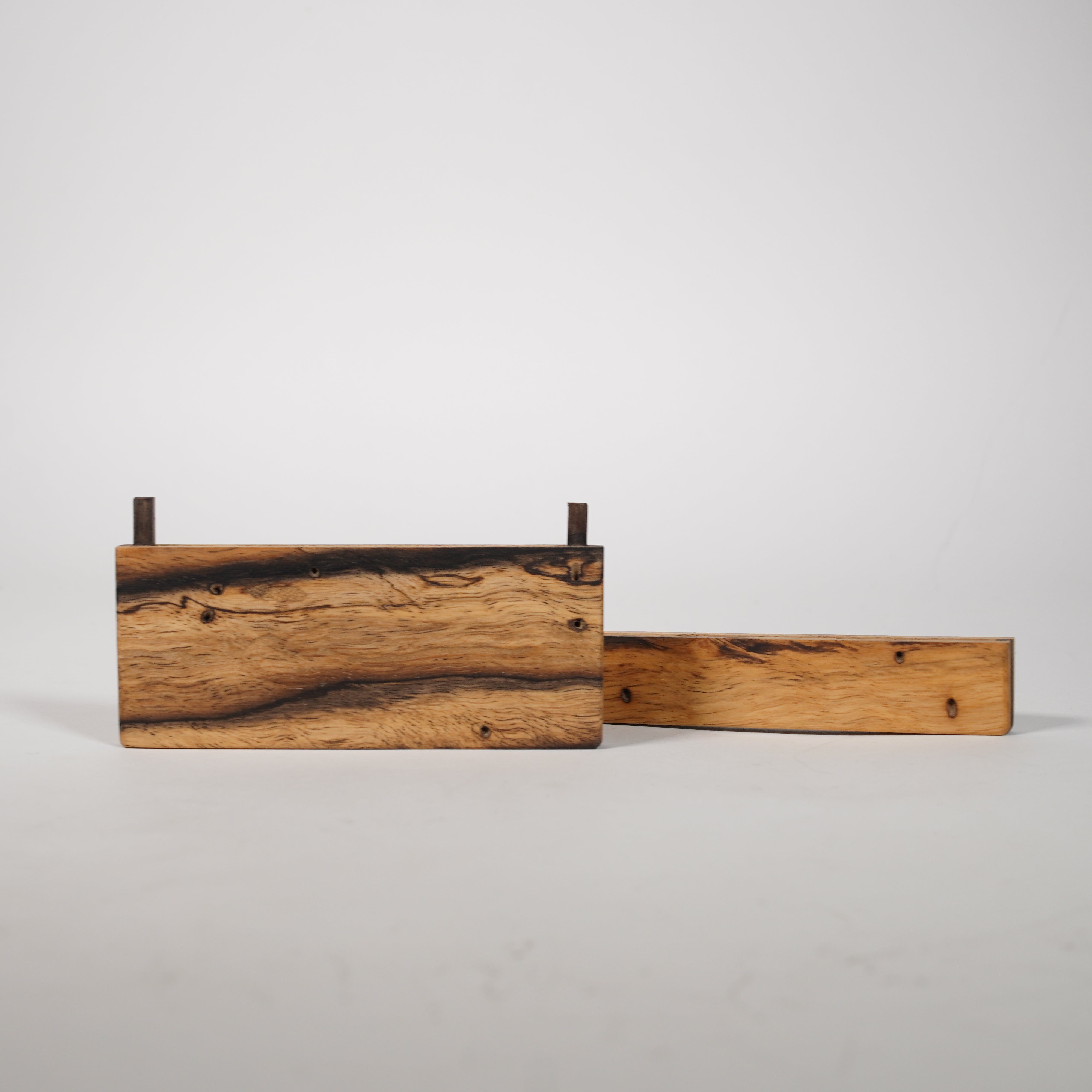 Caja de tarjeta / árbol comido por insectos