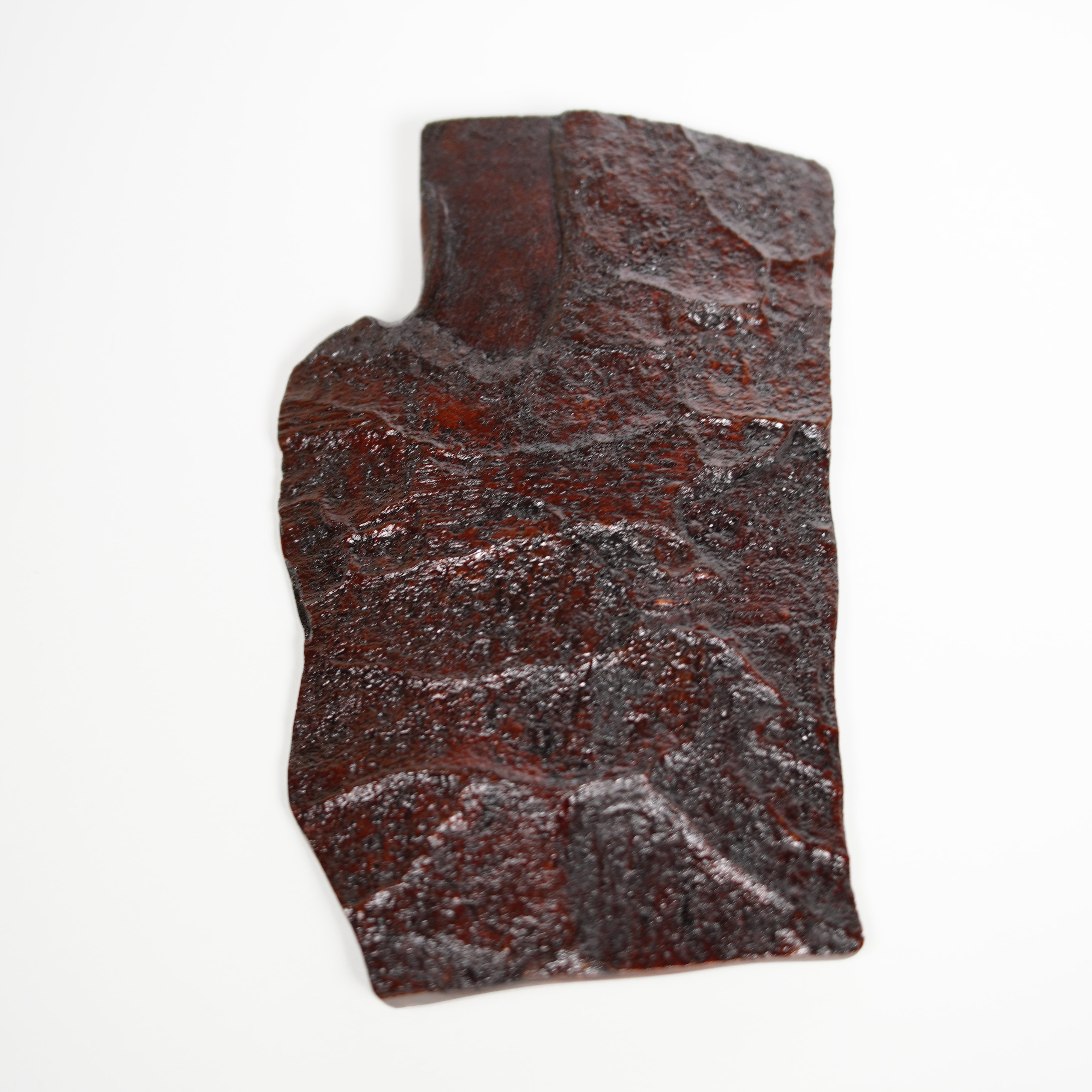 Zelkova -Platte / polierter Lack