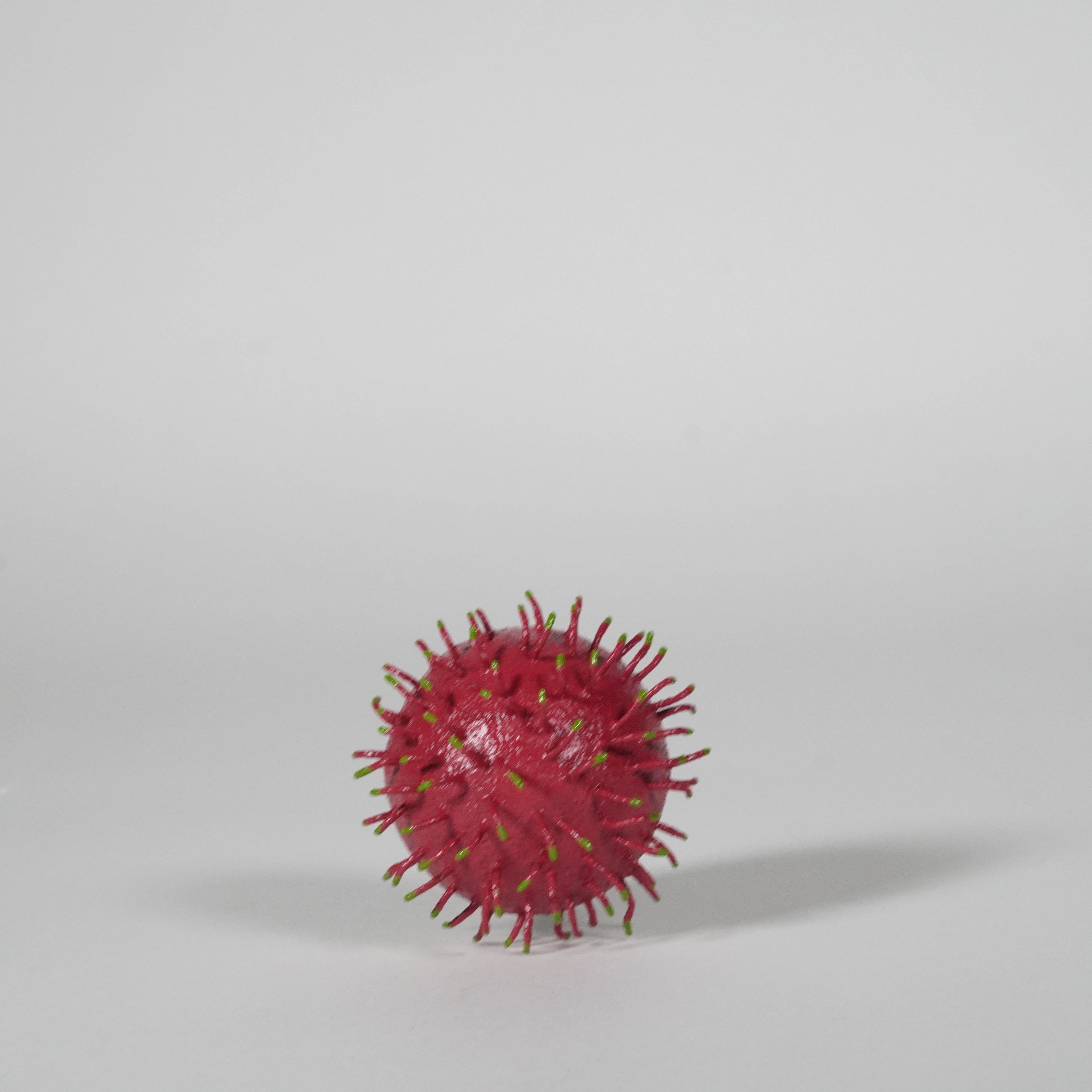 Hiroshima Lacquerware / Rambutan Motif / Hand-sculpted