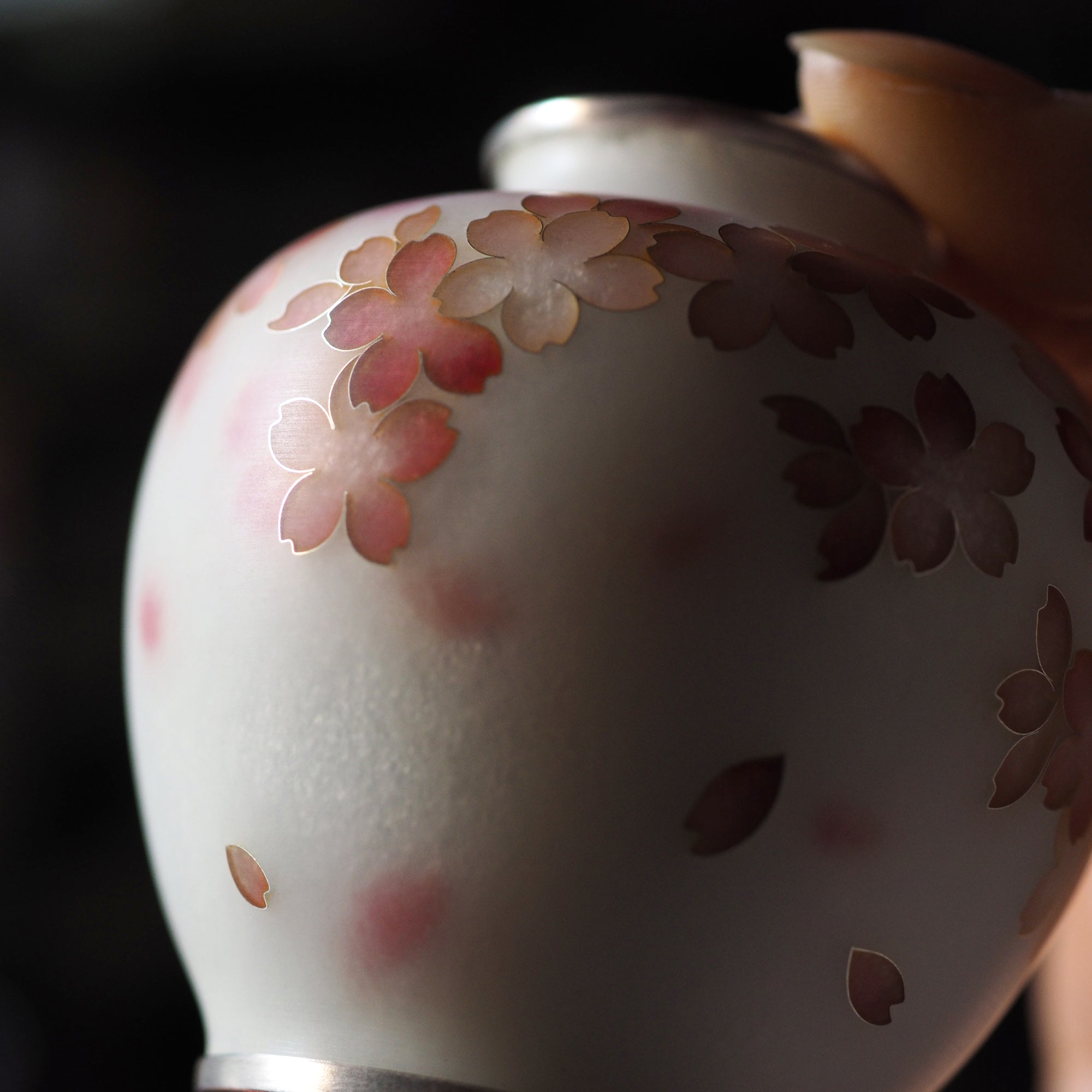 圆花瓶 /樱花柔和。