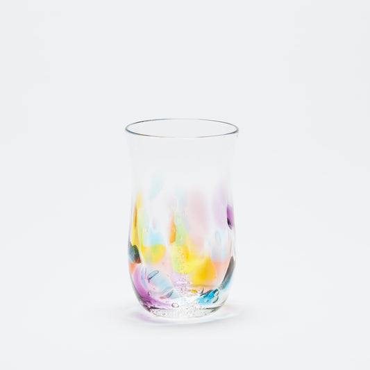 Rainbow Colored Beer Glass