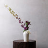 Kyo Ware Vase / White / Medium