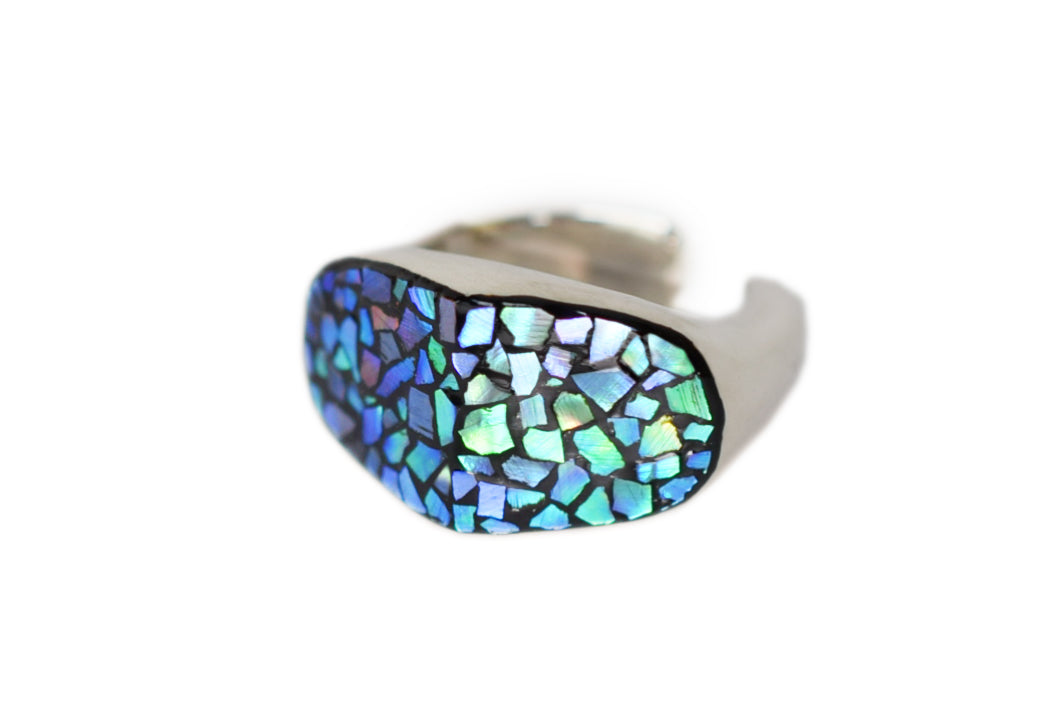 Raden Ear Cuff / Medium Fragment / Right Ear