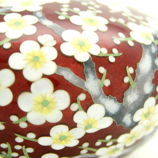 flat vase filled with plum blossoms