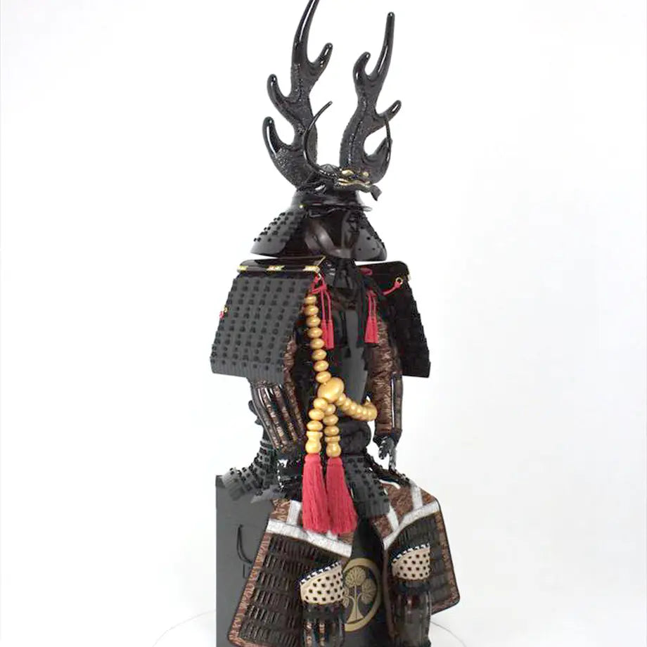 Honda tadakatsu / ciruela