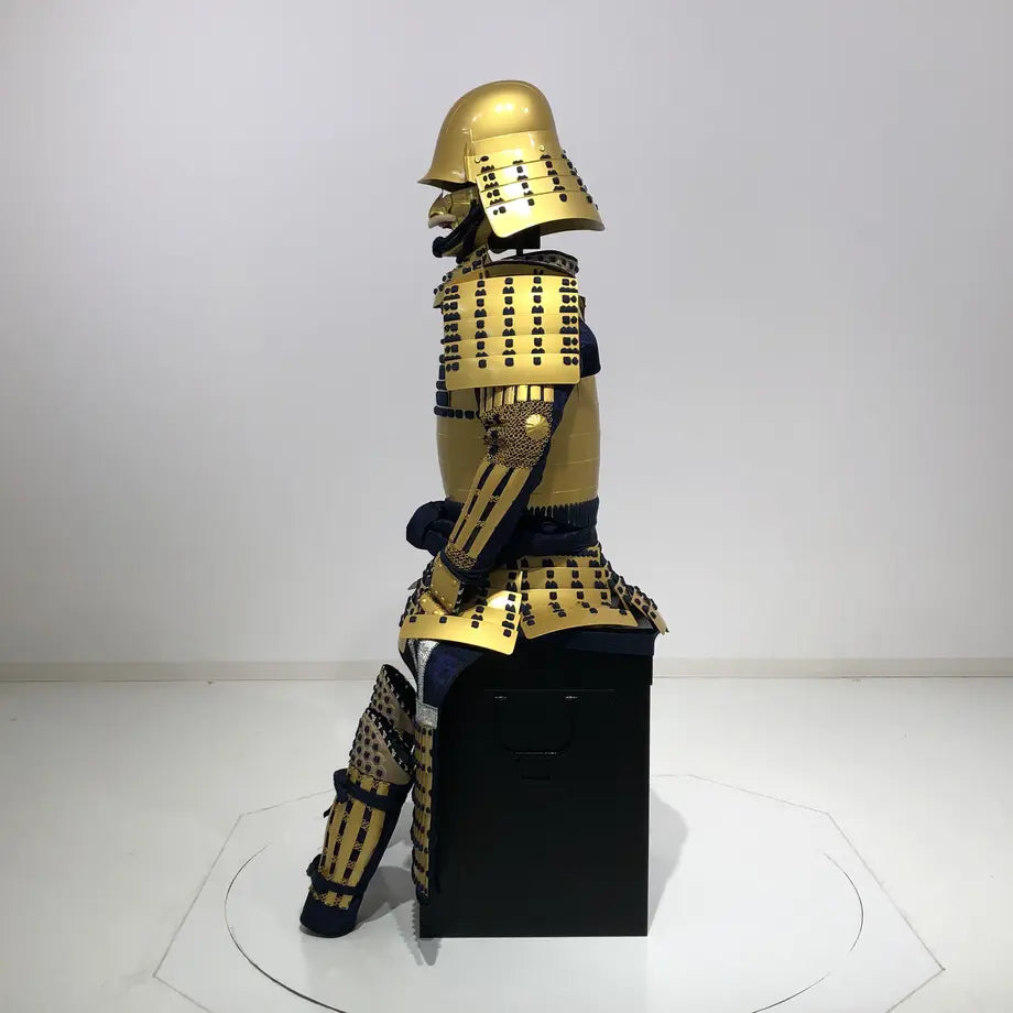 TOKUGAWA IEYASU - Forma a forma di testa / prugna