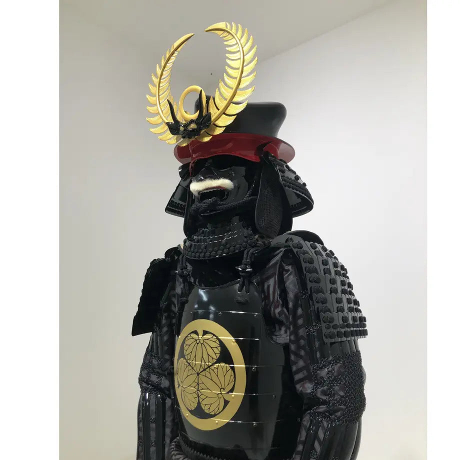 Tokugawa ieyasu / ciruela