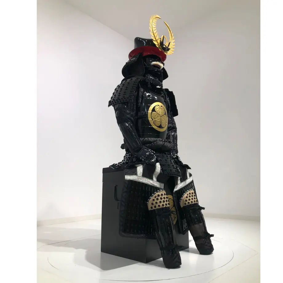 Tokugawa ieyasu / ciruela