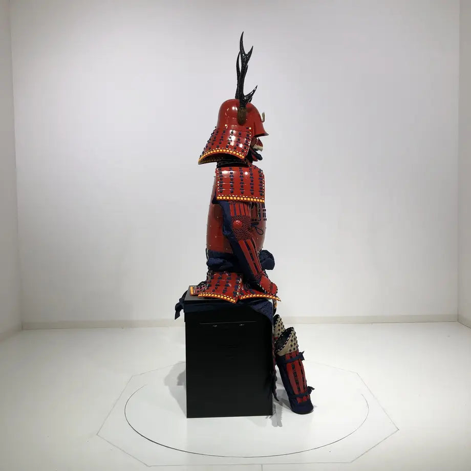 Sanada yukimura (prugna)