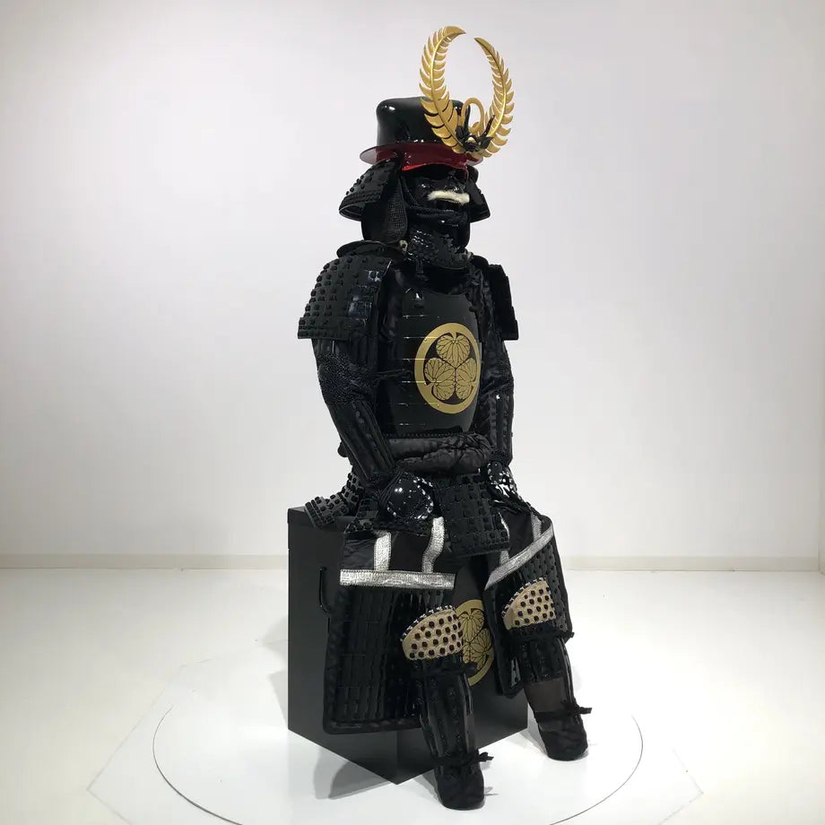 Tokugawa ieyasu / ciruela