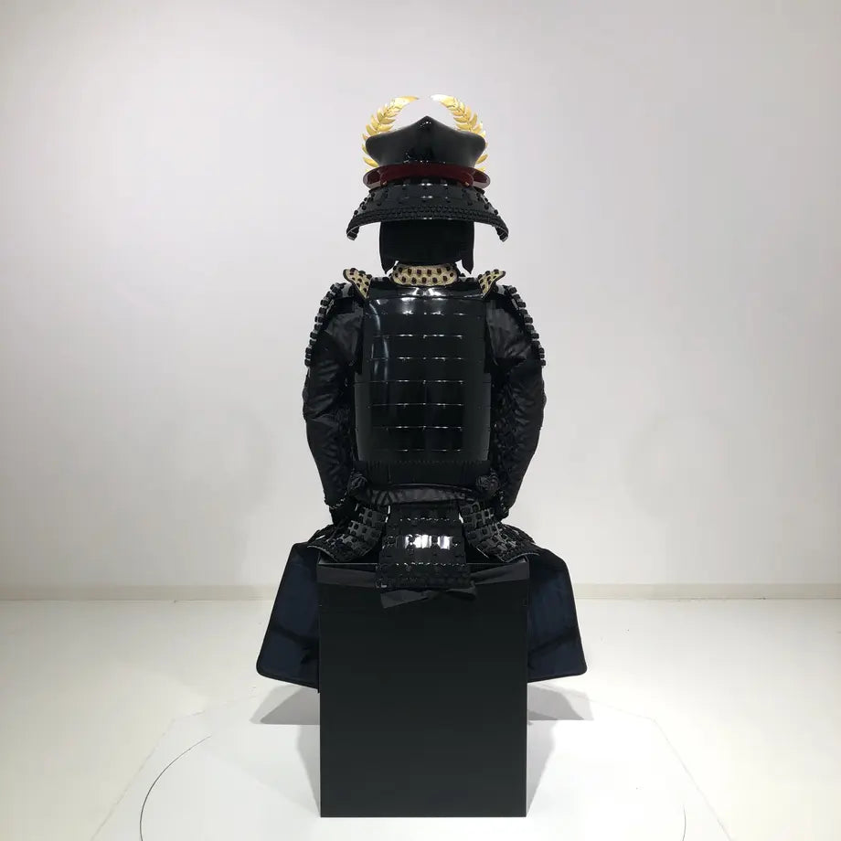 Tokugawa ieyasu / ciruela
