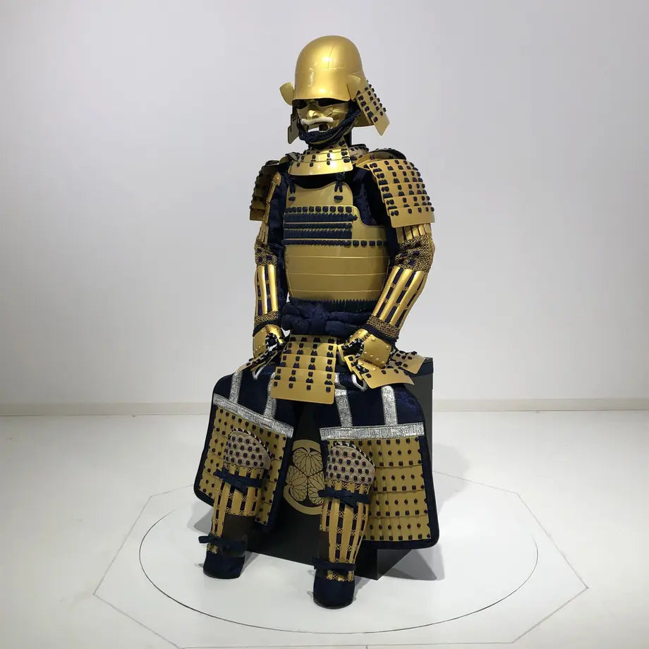 Tokugawa ieyasu - รูปหัว / พลัม