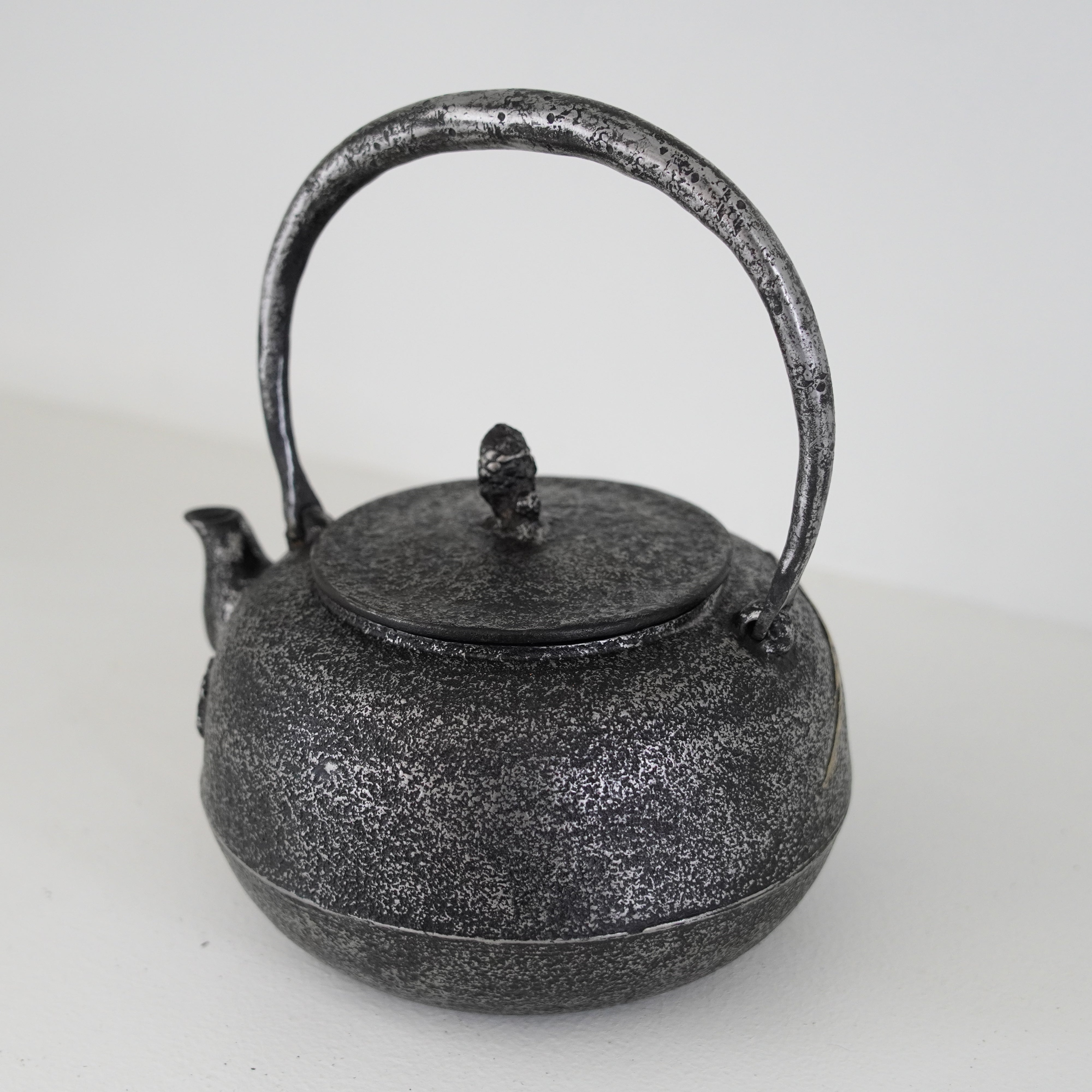Iron Sand Kettle / Mt.Fuji & Horse / Flat Round Shape