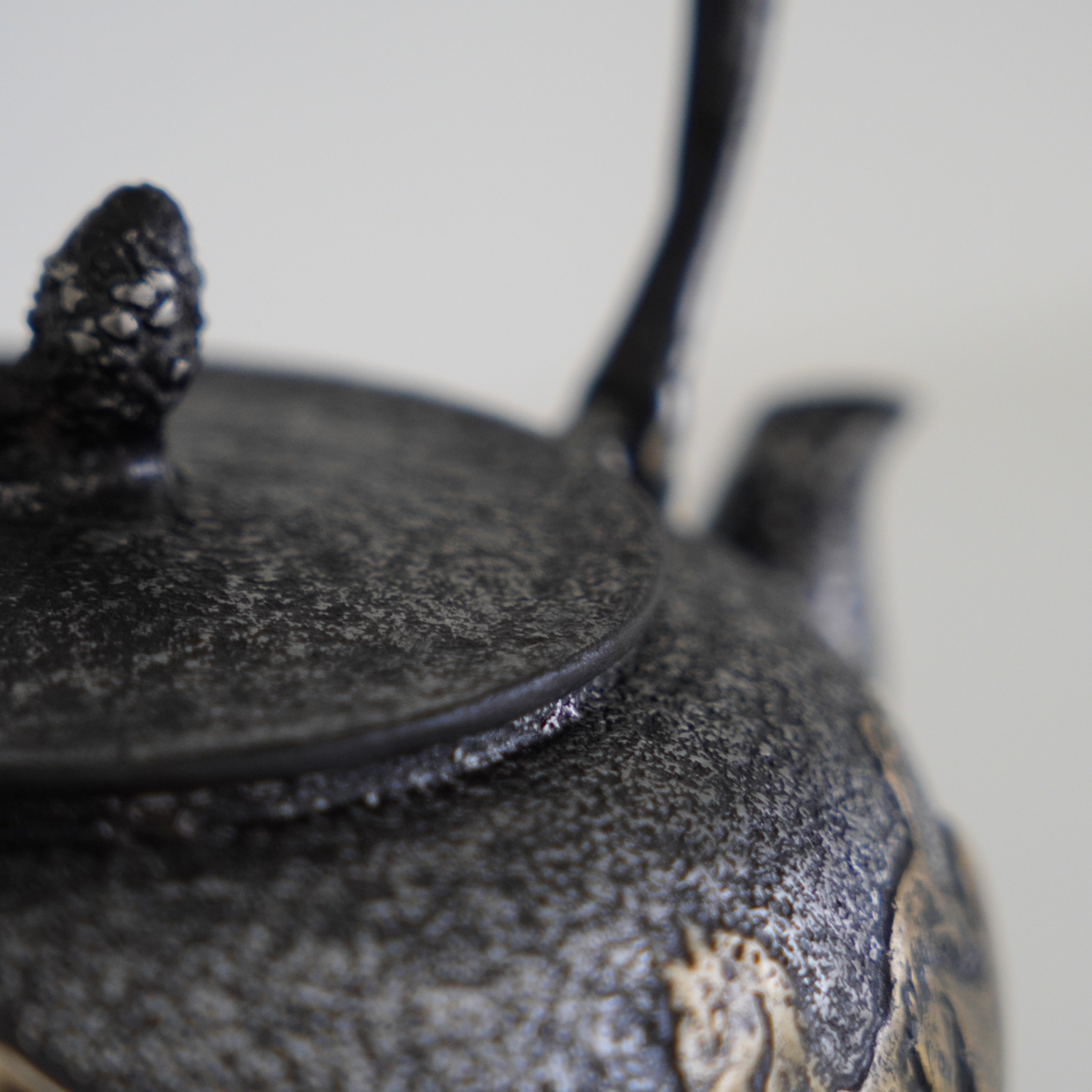 Iron Sand Kettle / Mt.Fuji & Horse / Flat Round Shape