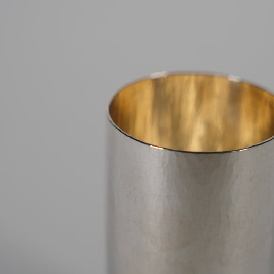 Silver Beer Cup / Plane
