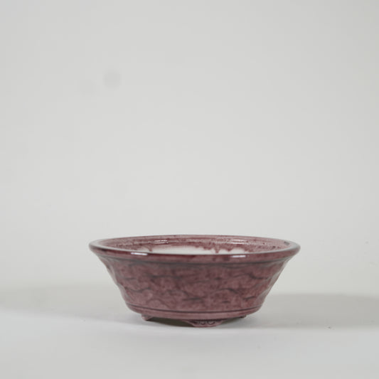Bonsai Pot / Purple Pricchytry