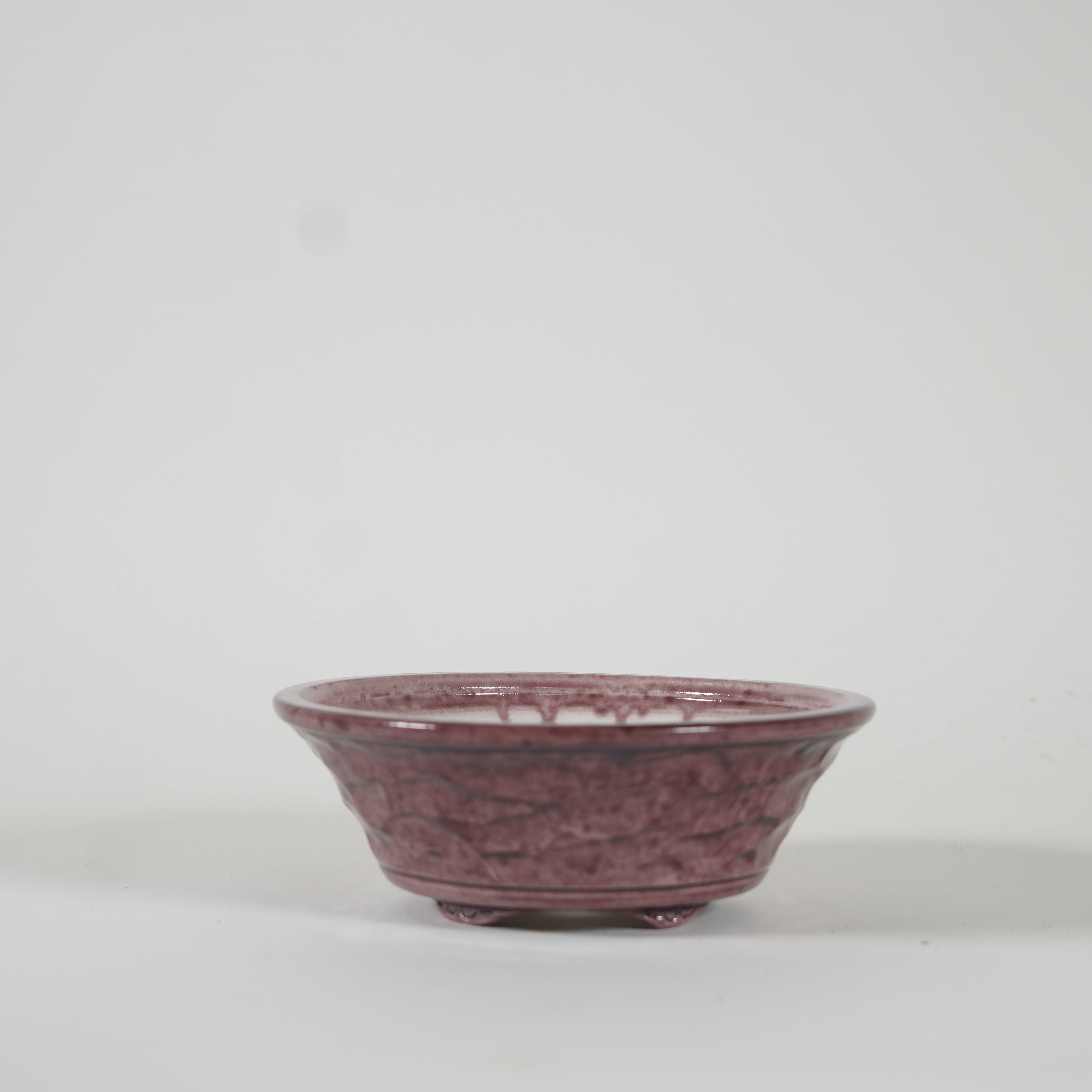 Bonsaï Pot / Marquetrante violette