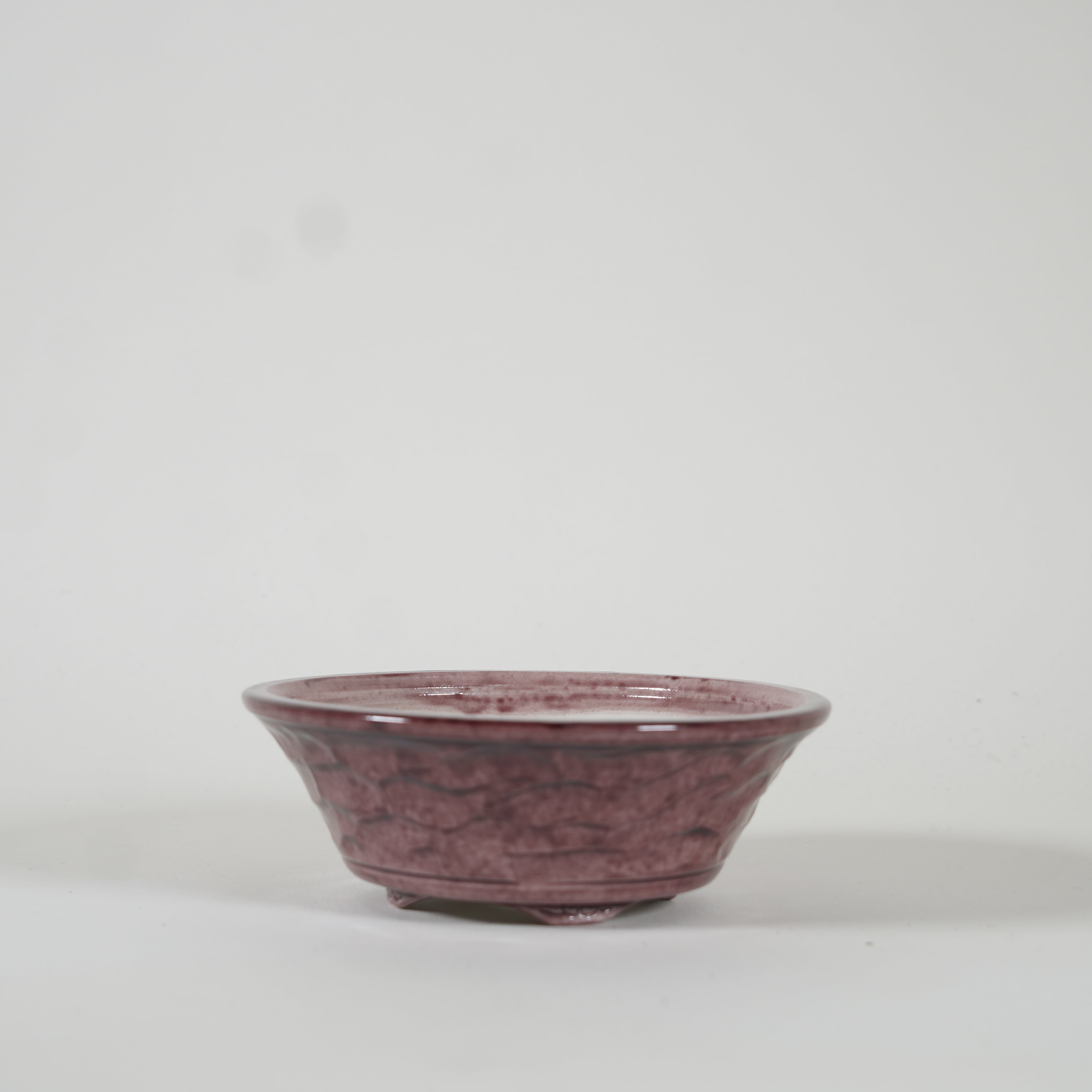 Bonsaï Pot / Marquetrante violette