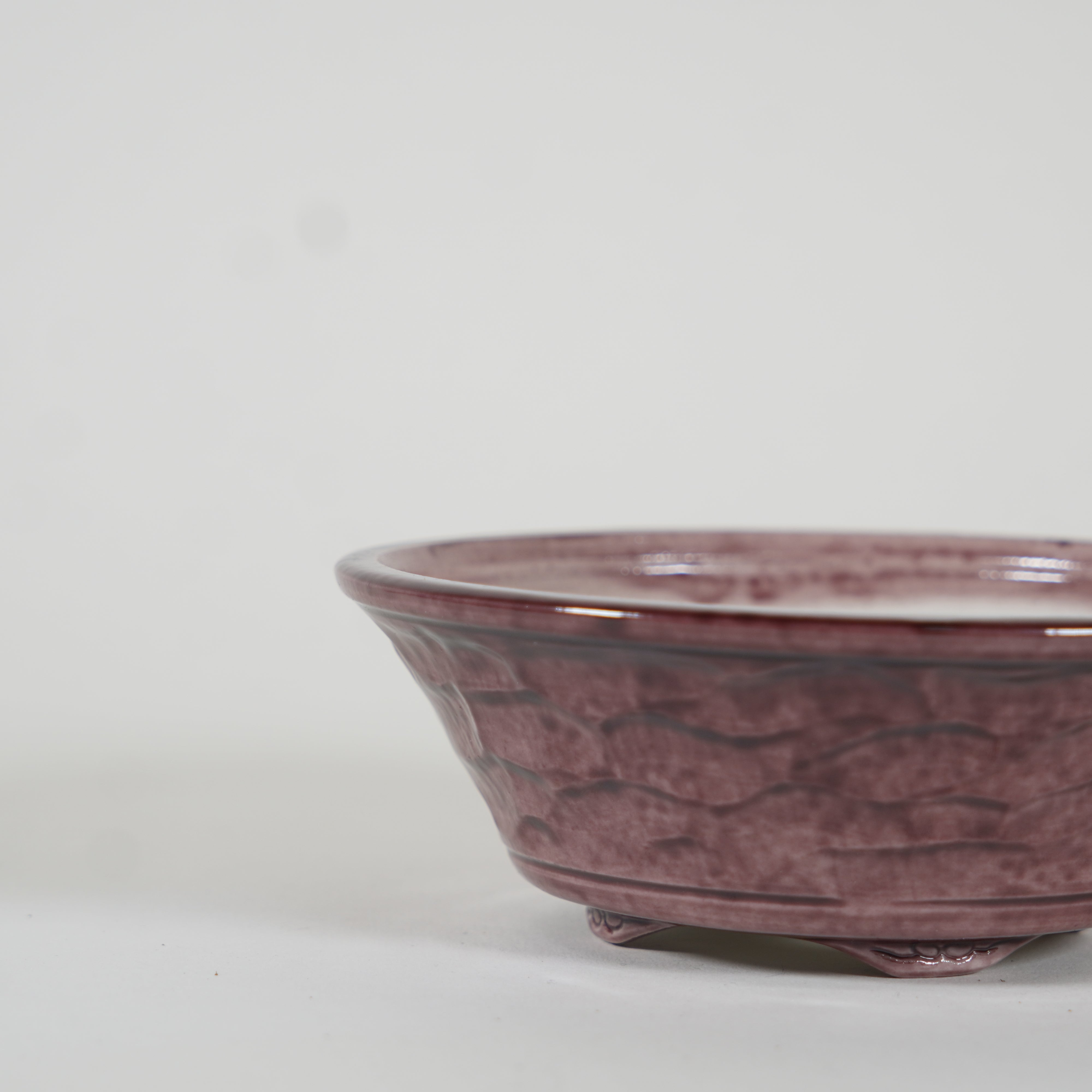 Bonsaï Pot / Marquetrante violette