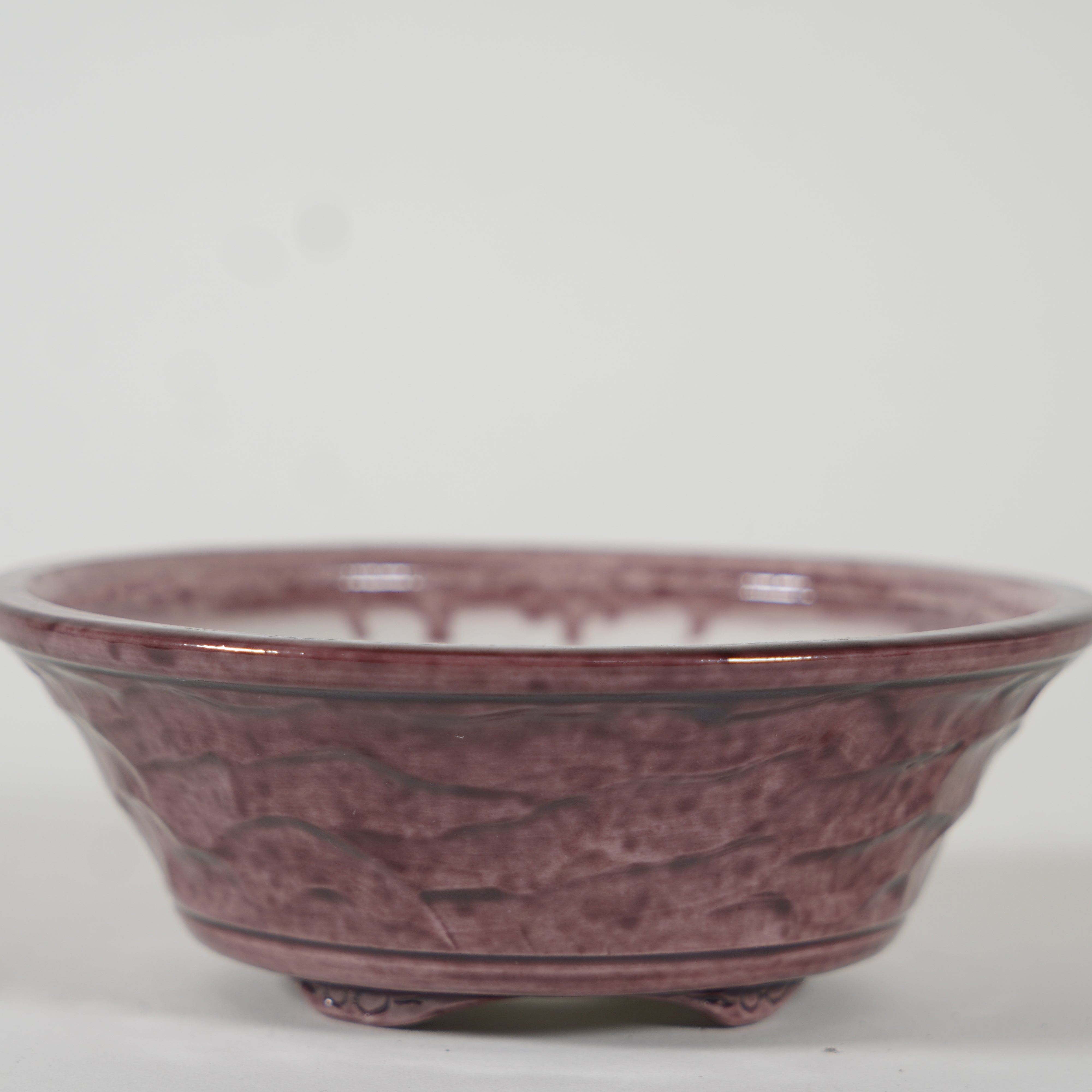 Bonsaï Pot / Marquetrante violette