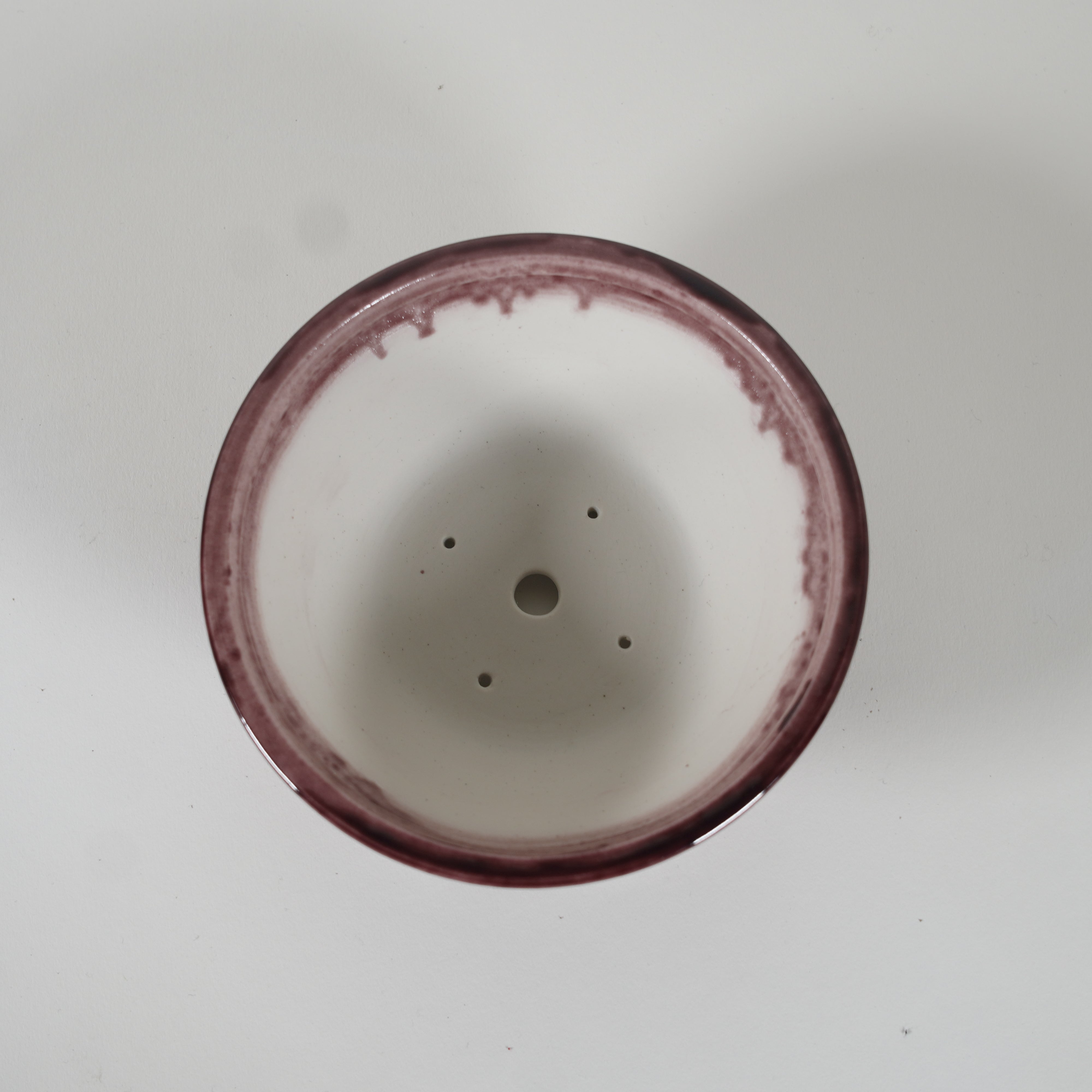 Bonsaï Pot / Marquetrante violette