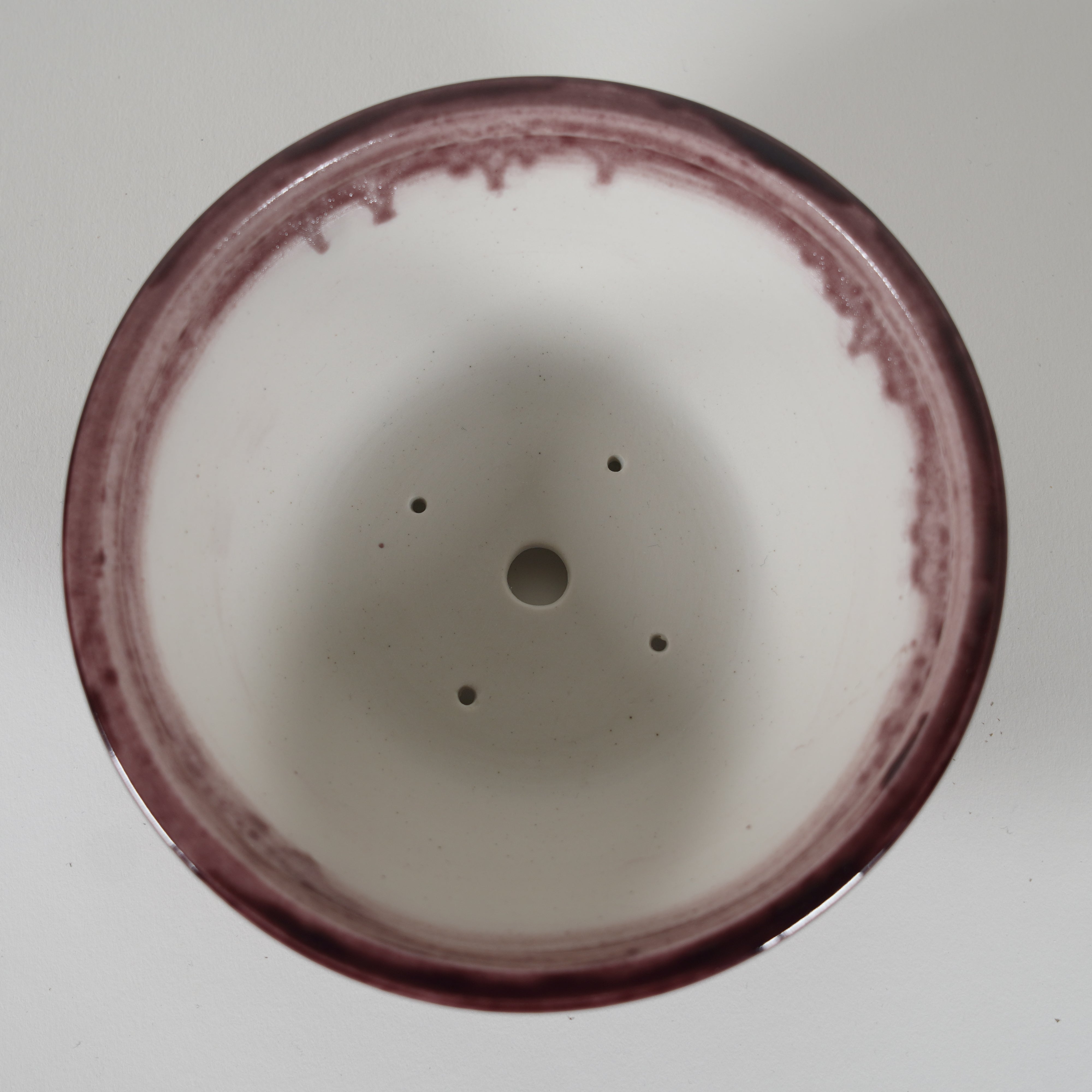 Bonsaï Pot / Marquetrante violette