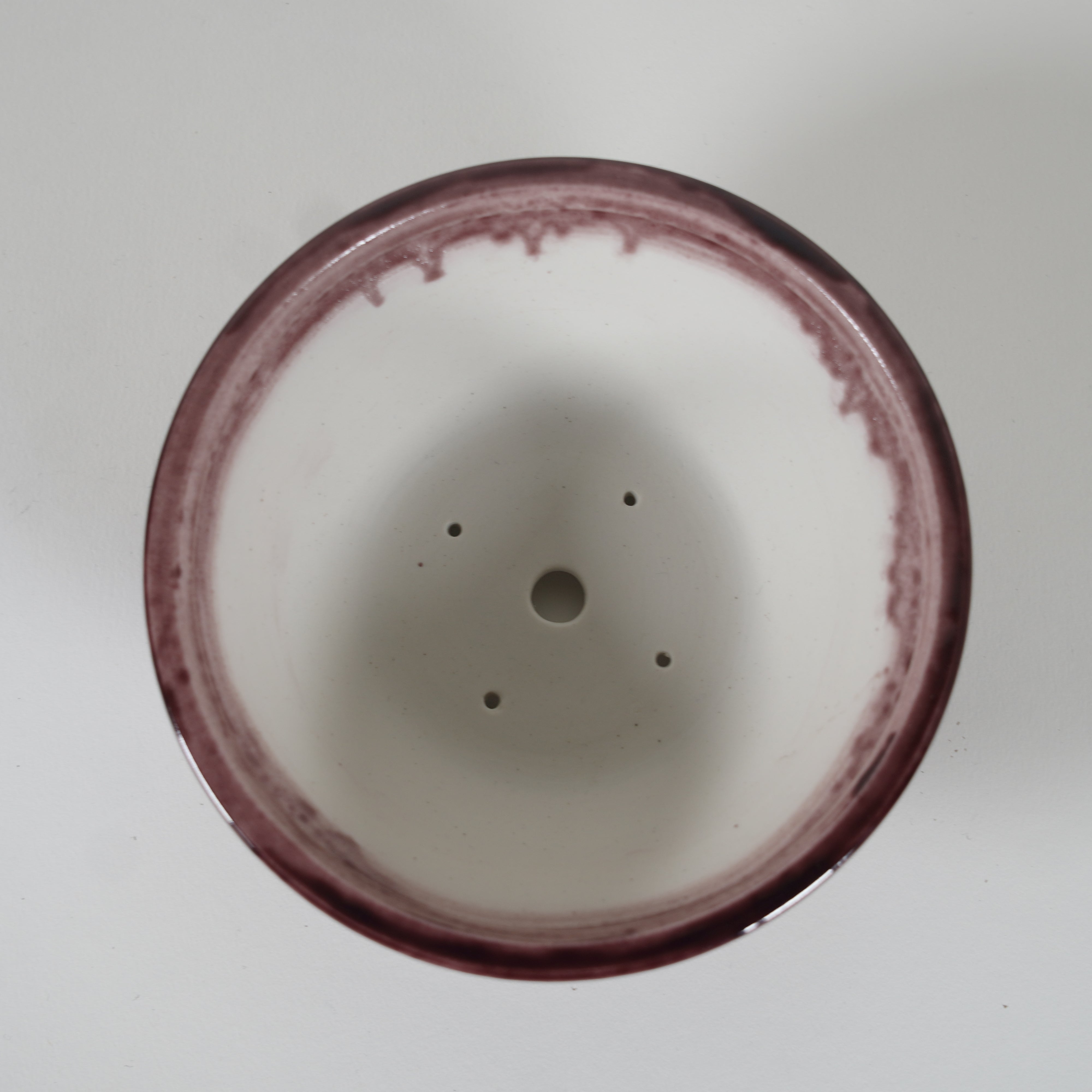 Bonsaï Pot / Marquetrante violette